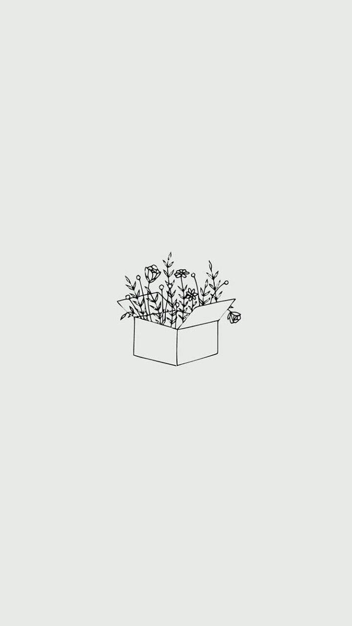 Cutie minimalistă estetică plină cu flori Fundal
