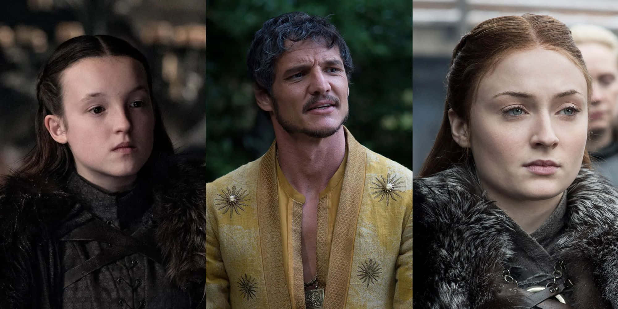 Daenerys Targaryen zburând în libertate Fundal