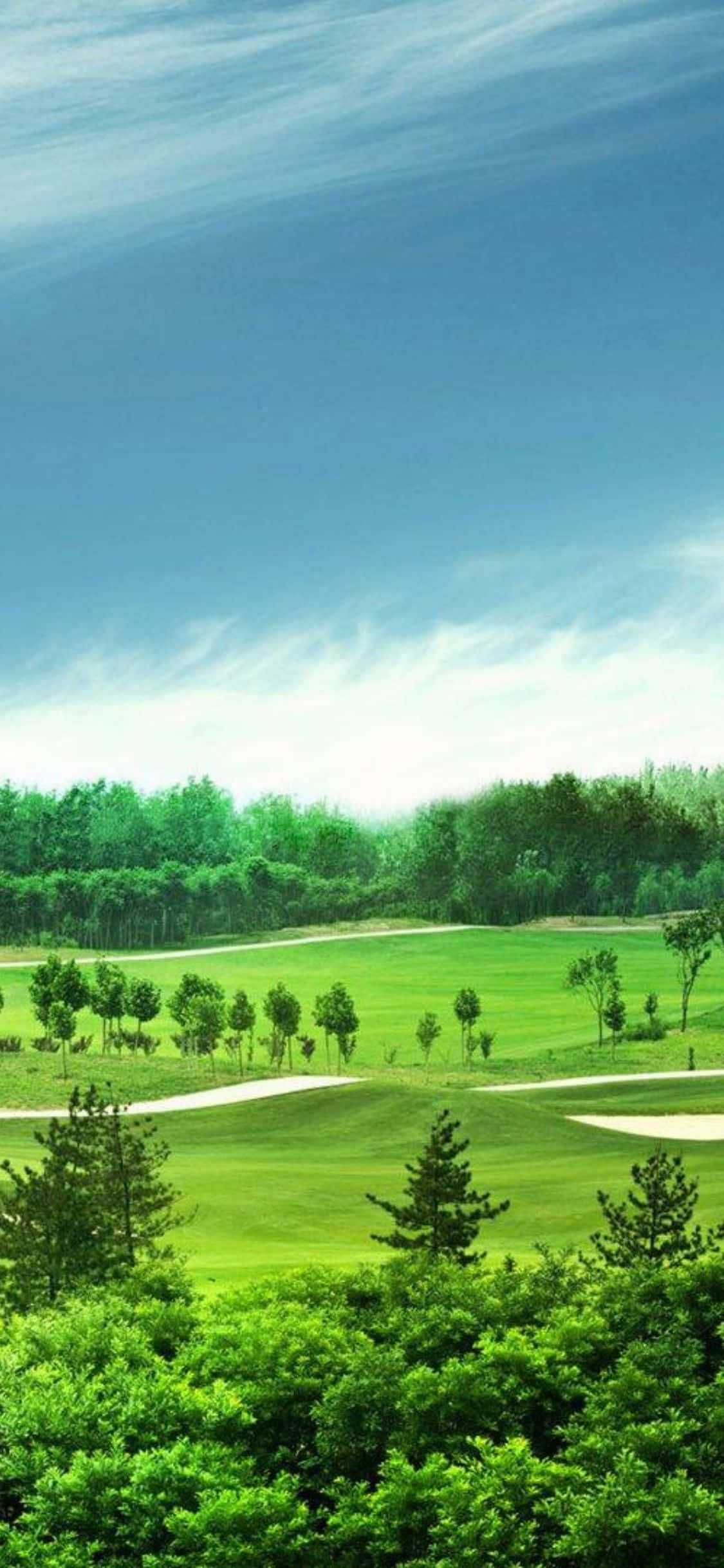 Joacă de la Pro cu iPhone X la Terenul Tău Favorit de Golf Fundal