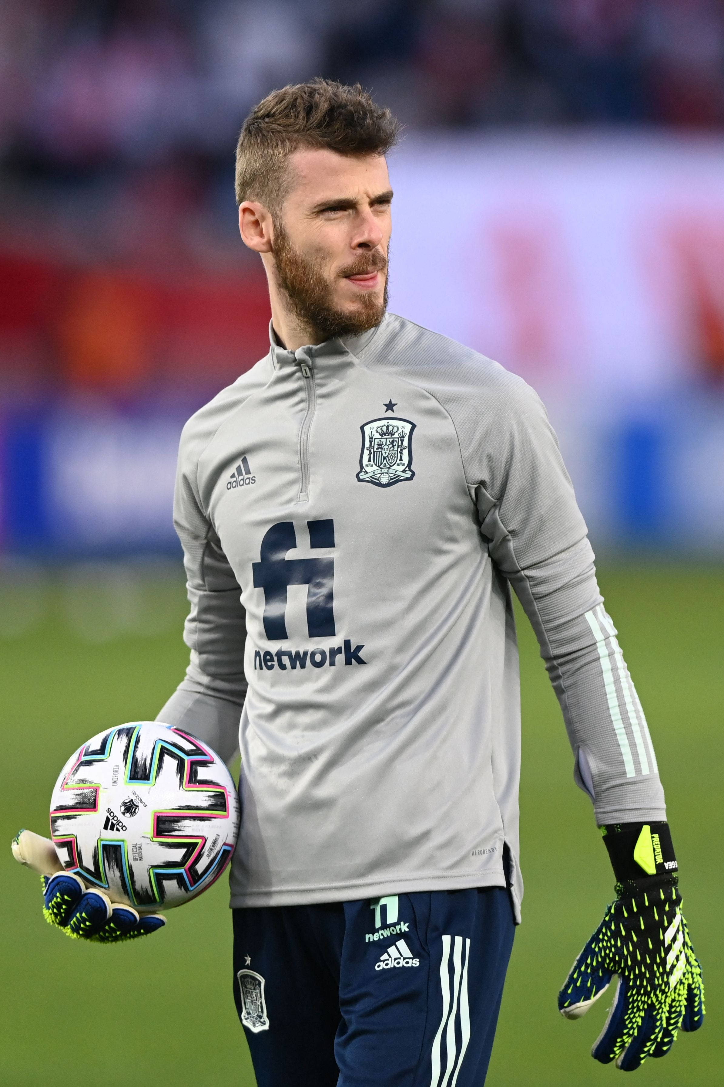 David De Gea Echipament Spaniol Gri Fundal