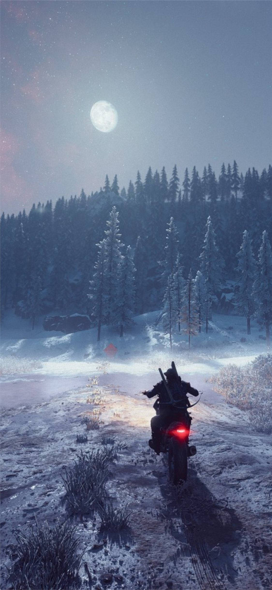 Days Gone Călărie în Iarnă Fundal