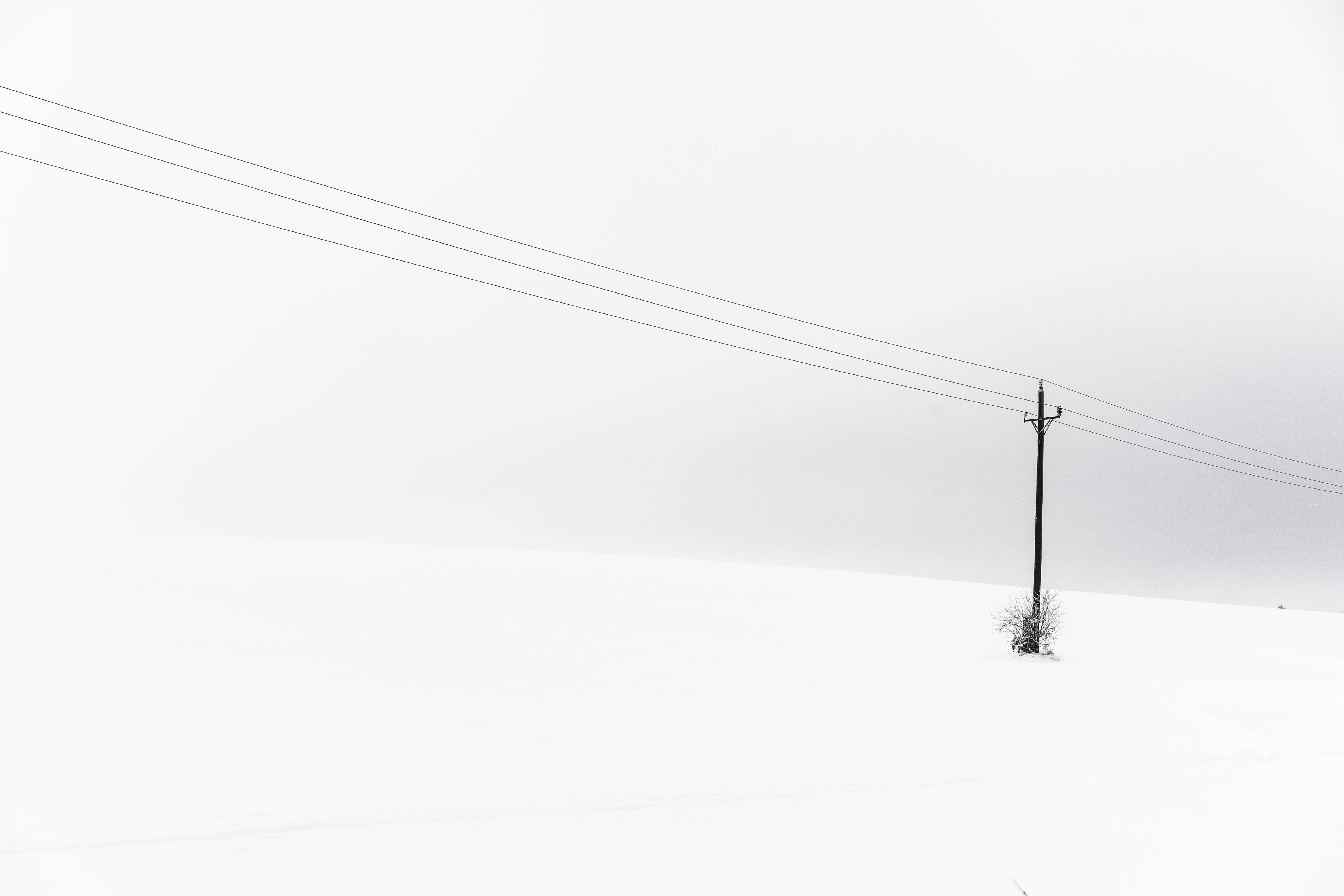 Deal înzăpezit cu linie electrică veche – fundal desktop minimalist Fundal