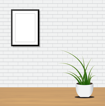 Decor de perete cu plantă de interior albă — Flori Fundal