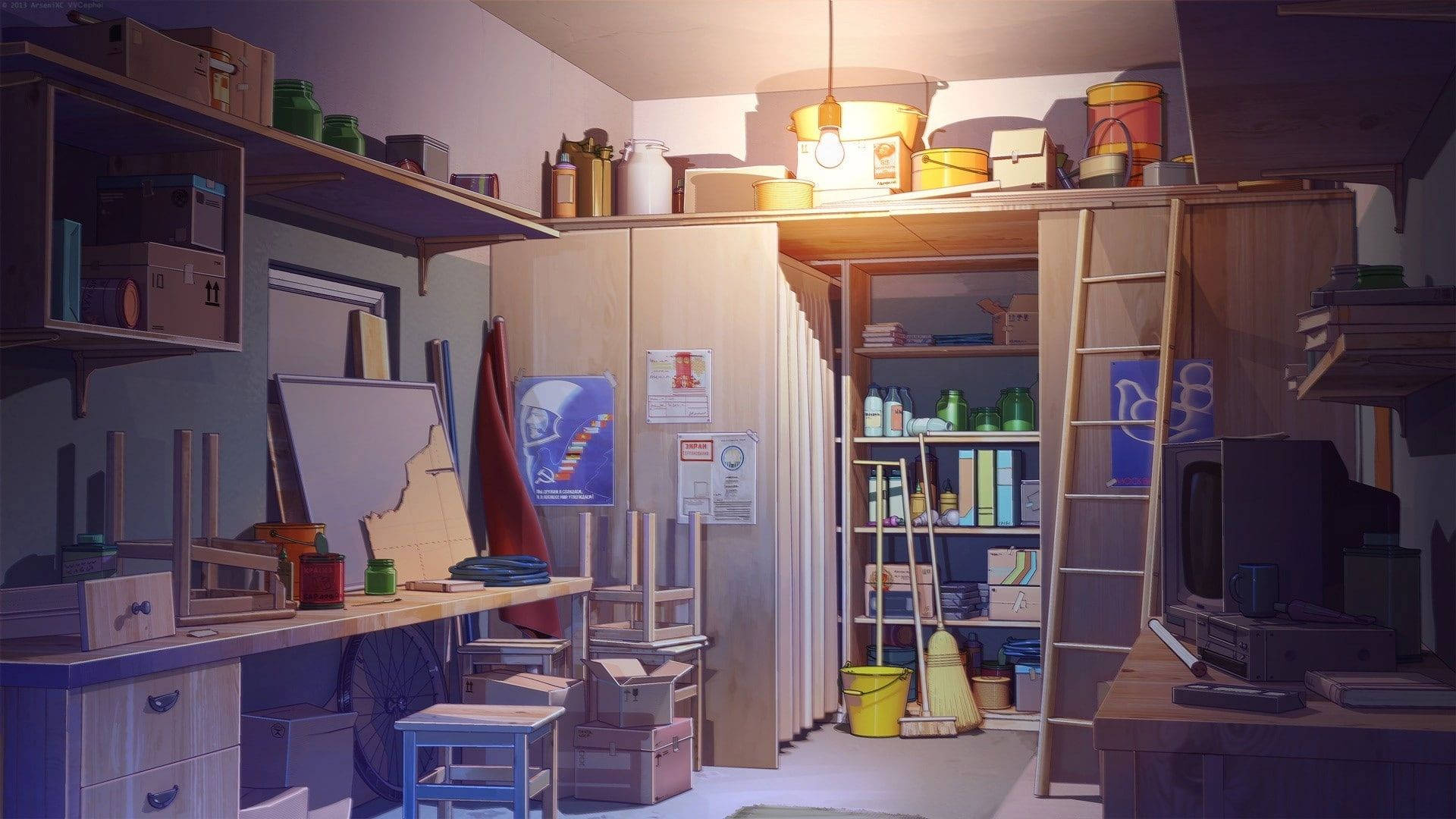 Depozit Anime Room Fundal