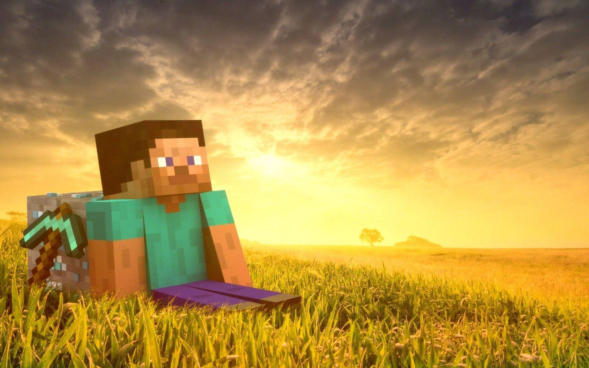 Descoperă bucuriile unei lumi noi cu Minecraft Steve Fundal