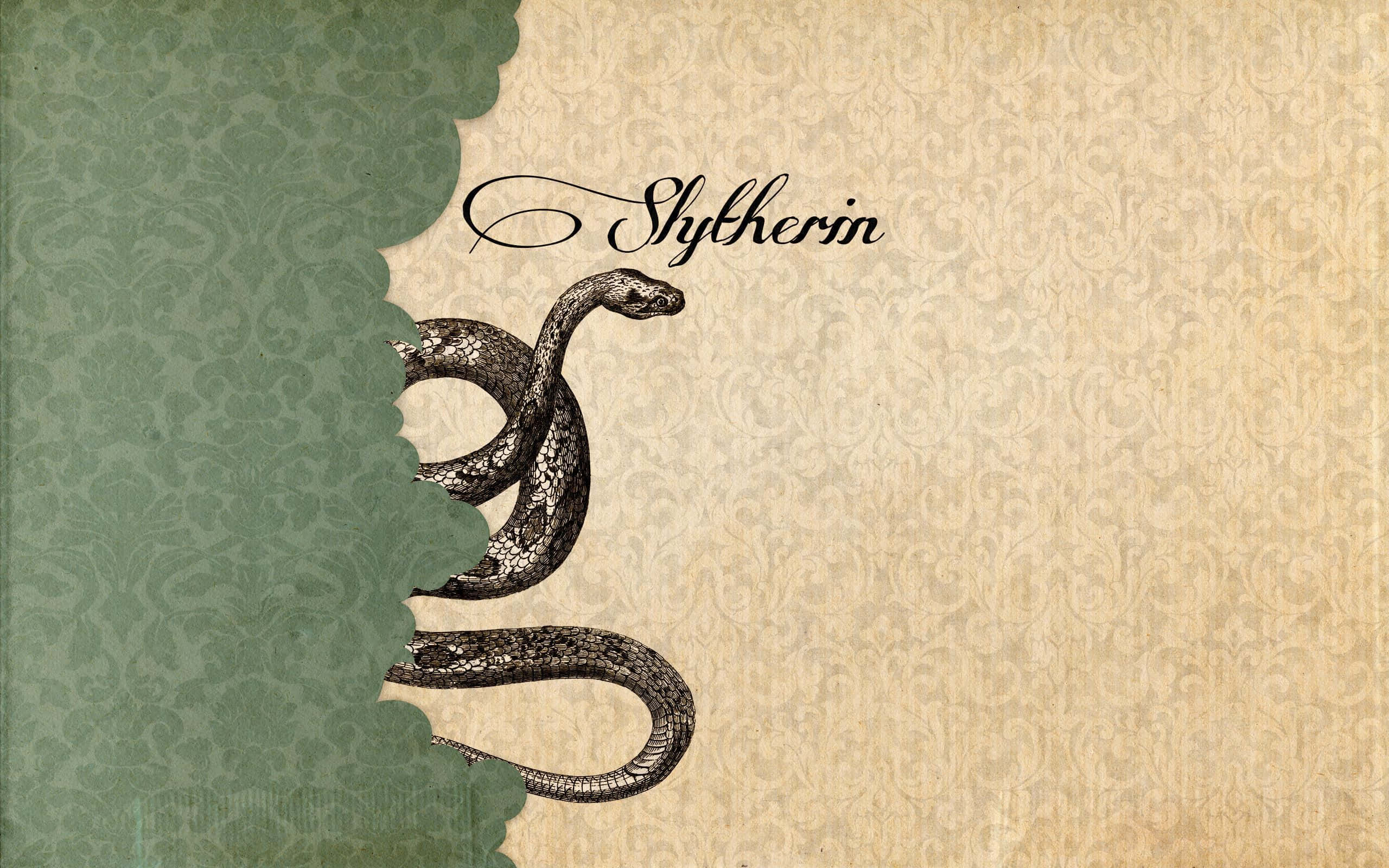 Descoperă fascinantul mister al esteticii Slytherin 🐍 Fundal