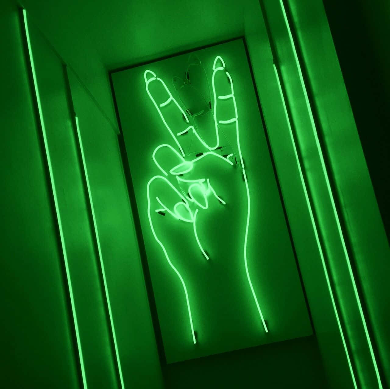 Descoperă frumusețea esteticii neon Fundal