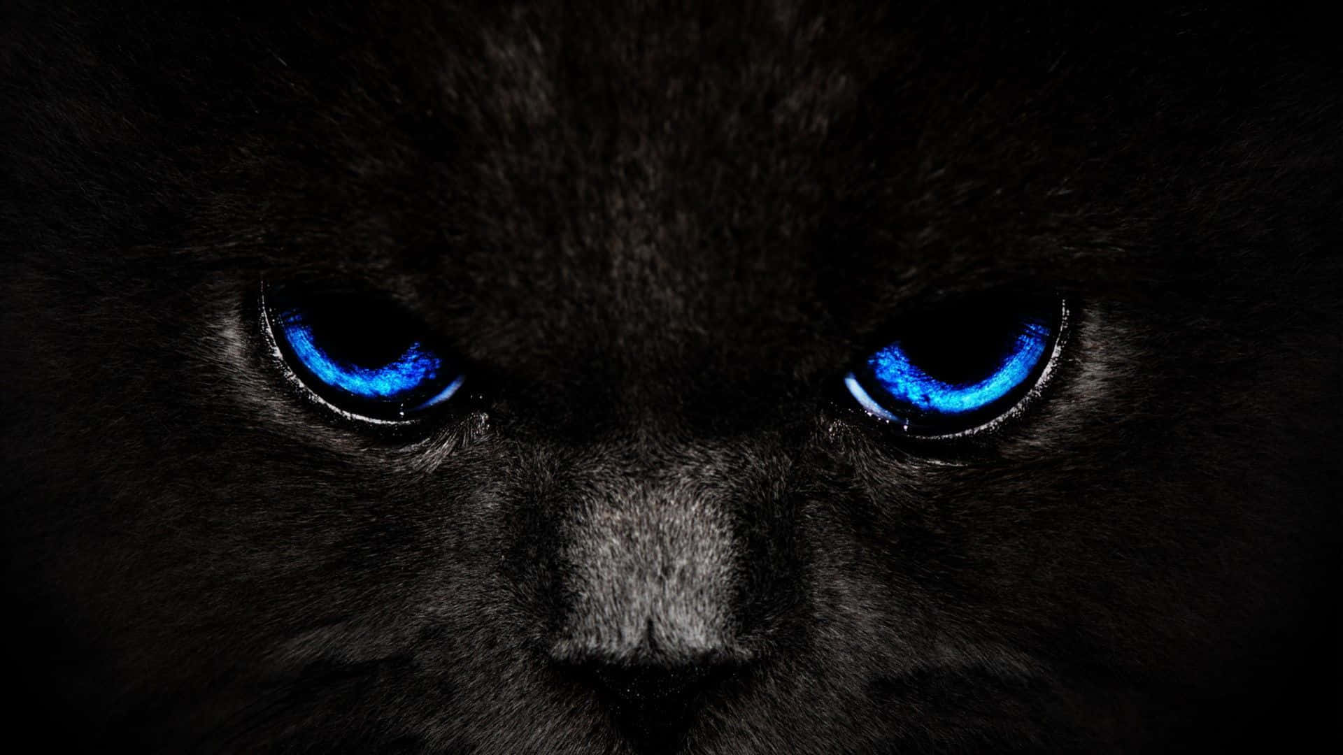 Descoperă frumusețea și dinamismul Cool Black Fundal