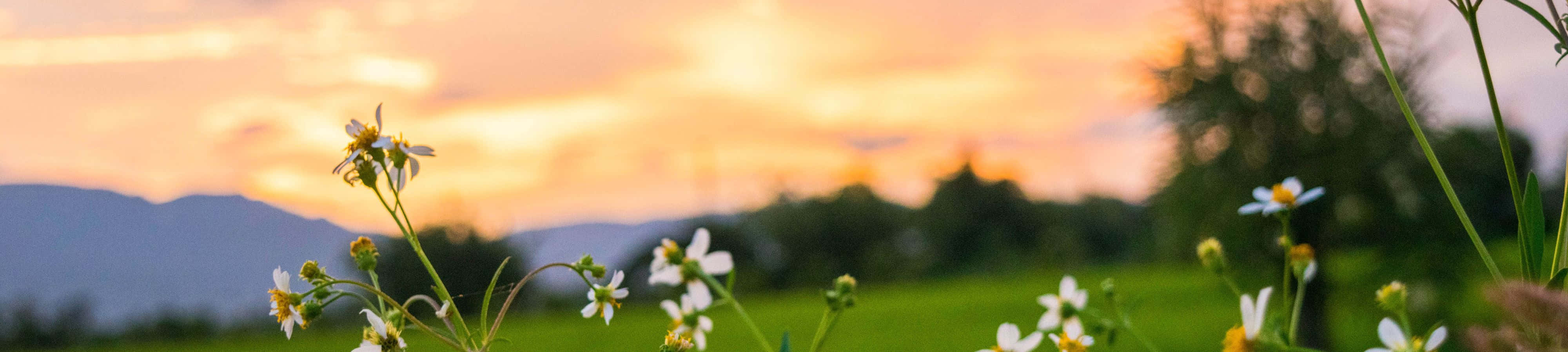Descoperă grandioasa impresionantă a naturii Fundal