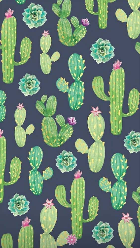 Desen Cactus iPhone Fundal