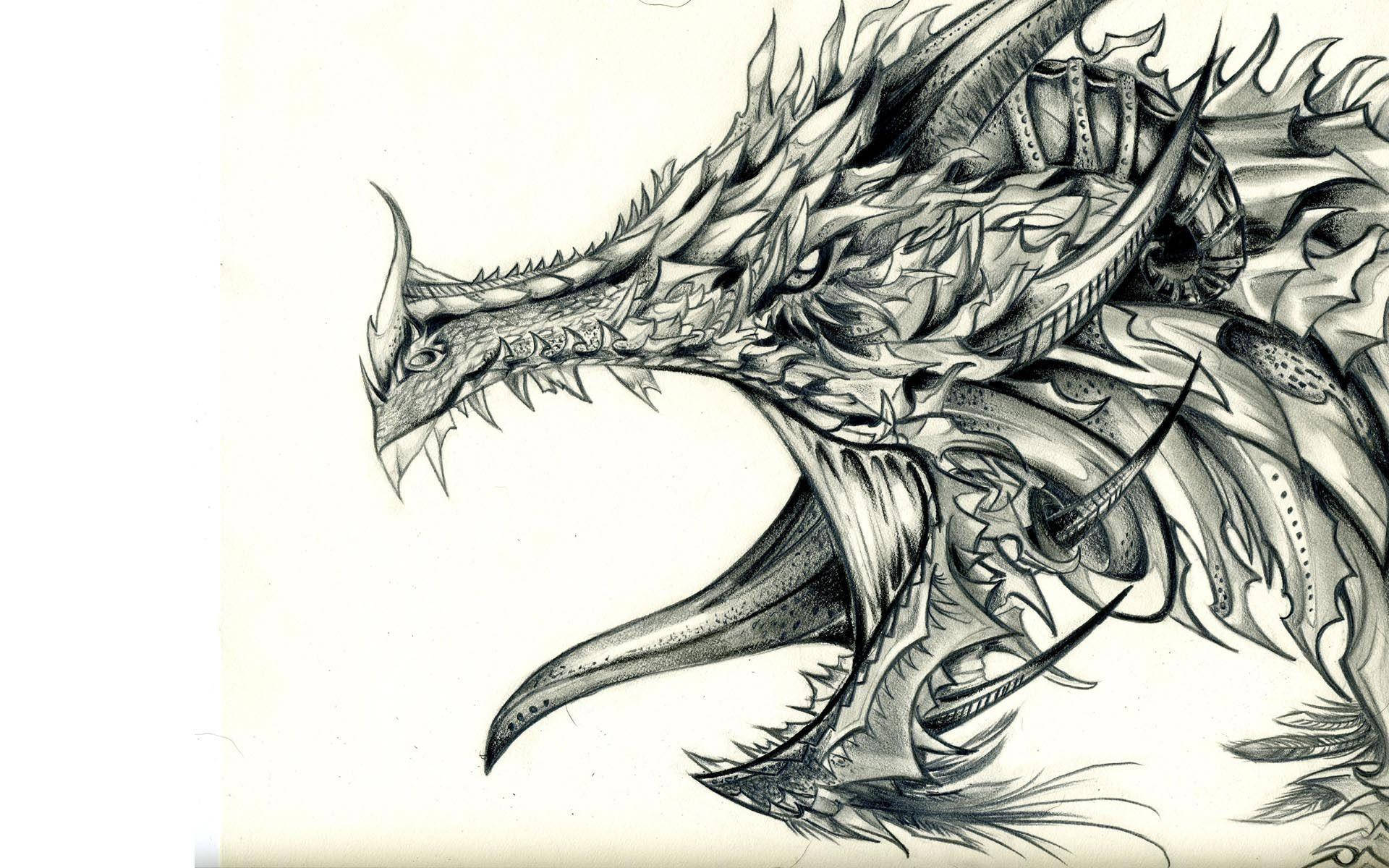Desen Cool cu Dragon Blindat Fundal