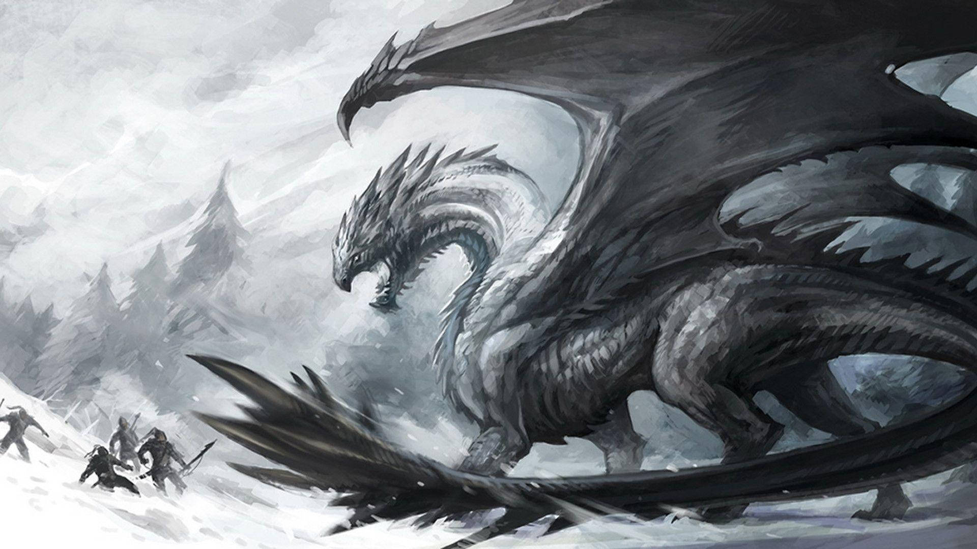 Desen Cool cu Dragon de Zăpadă Fundal