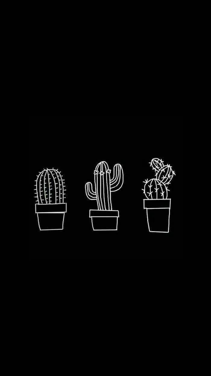 Desene drăguțe cu cactuși în estetică alb-negru Fundal