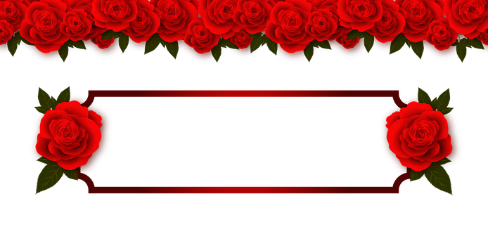 Design Banner Trandafir Roșu Fundal