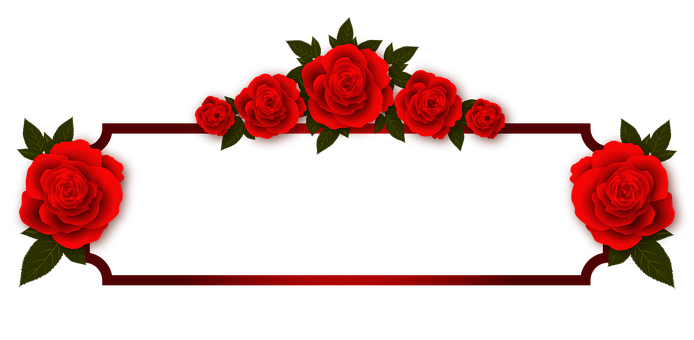 Design de Banner cu Trandafir Roșu Fundal