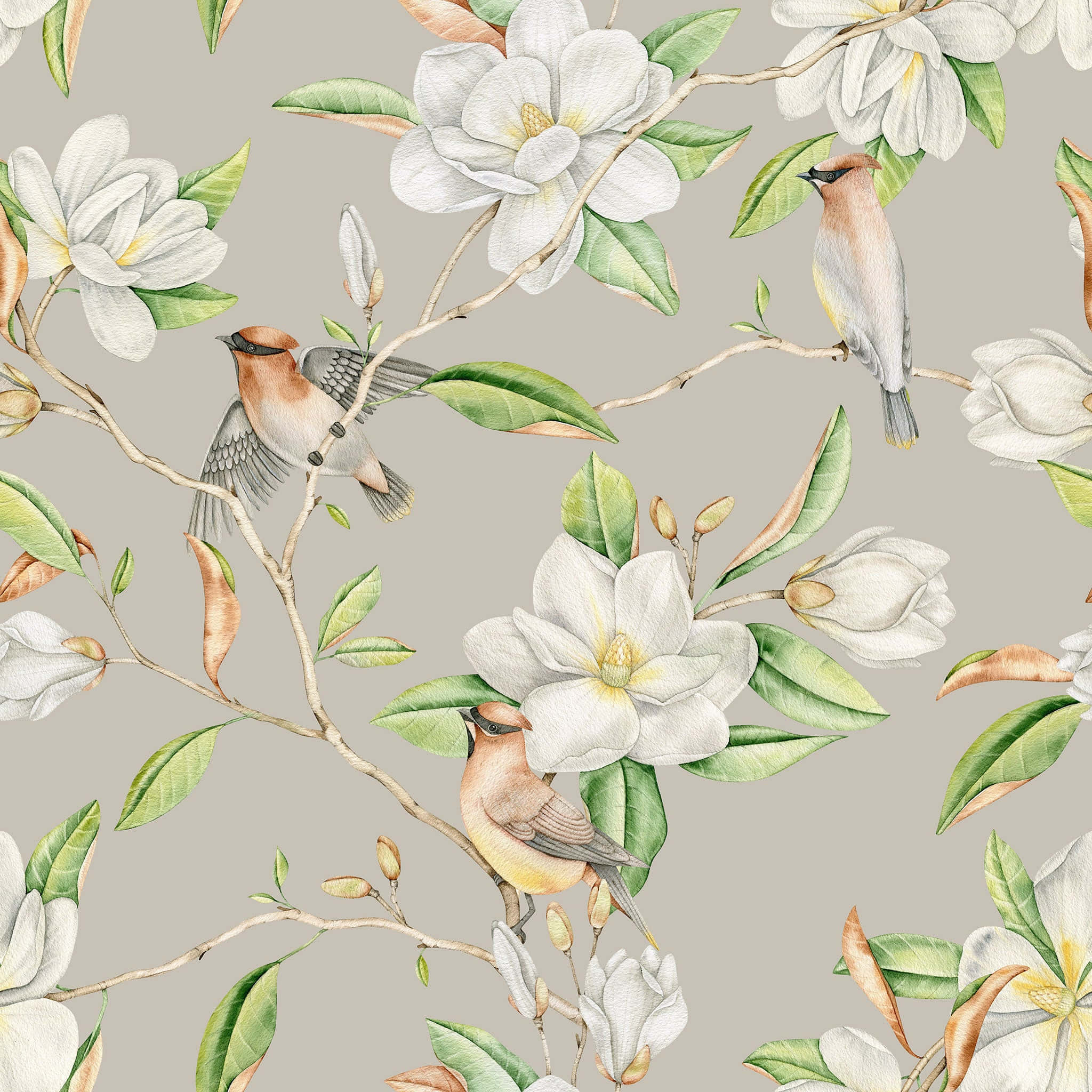 Design estetic cu floare de magnolie imprimată Fundal