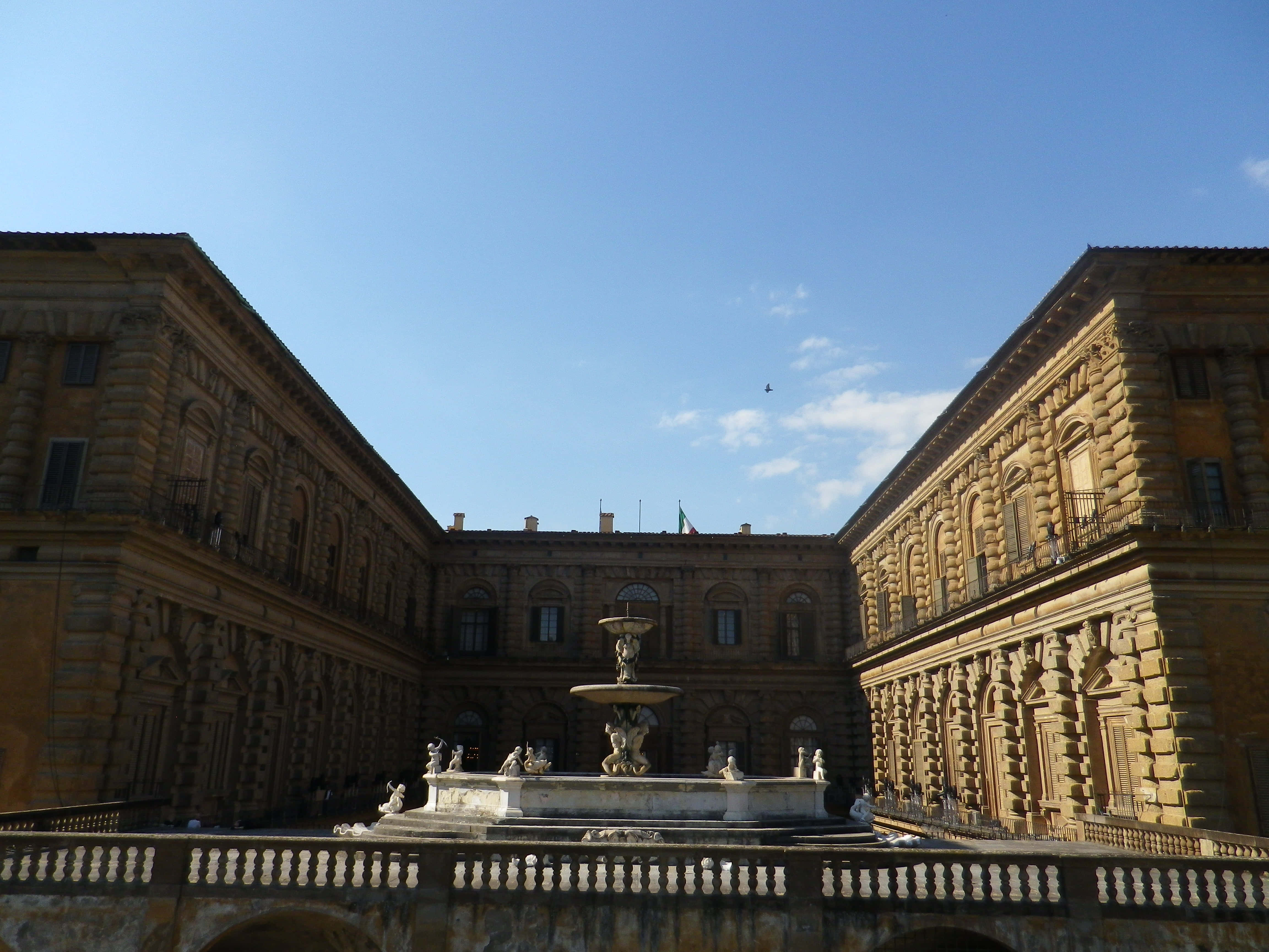 Detalii arhitecturale Palazzo Pitti Fundal