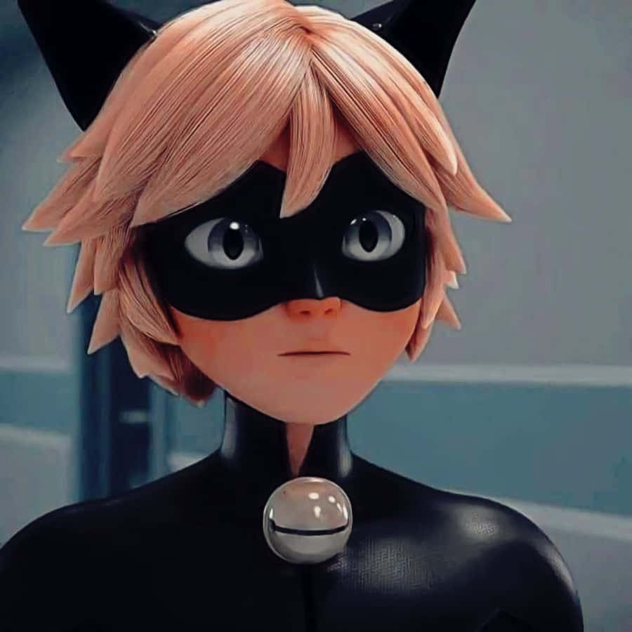 Dezlănțuie-ți Cat Noir-ul interior Fundal