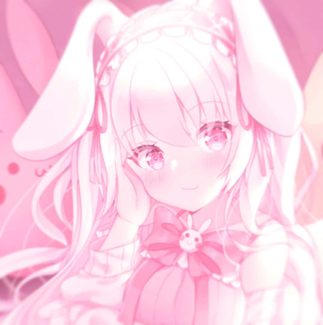 Discord Anime Pfp Roz Estetic Fundal
