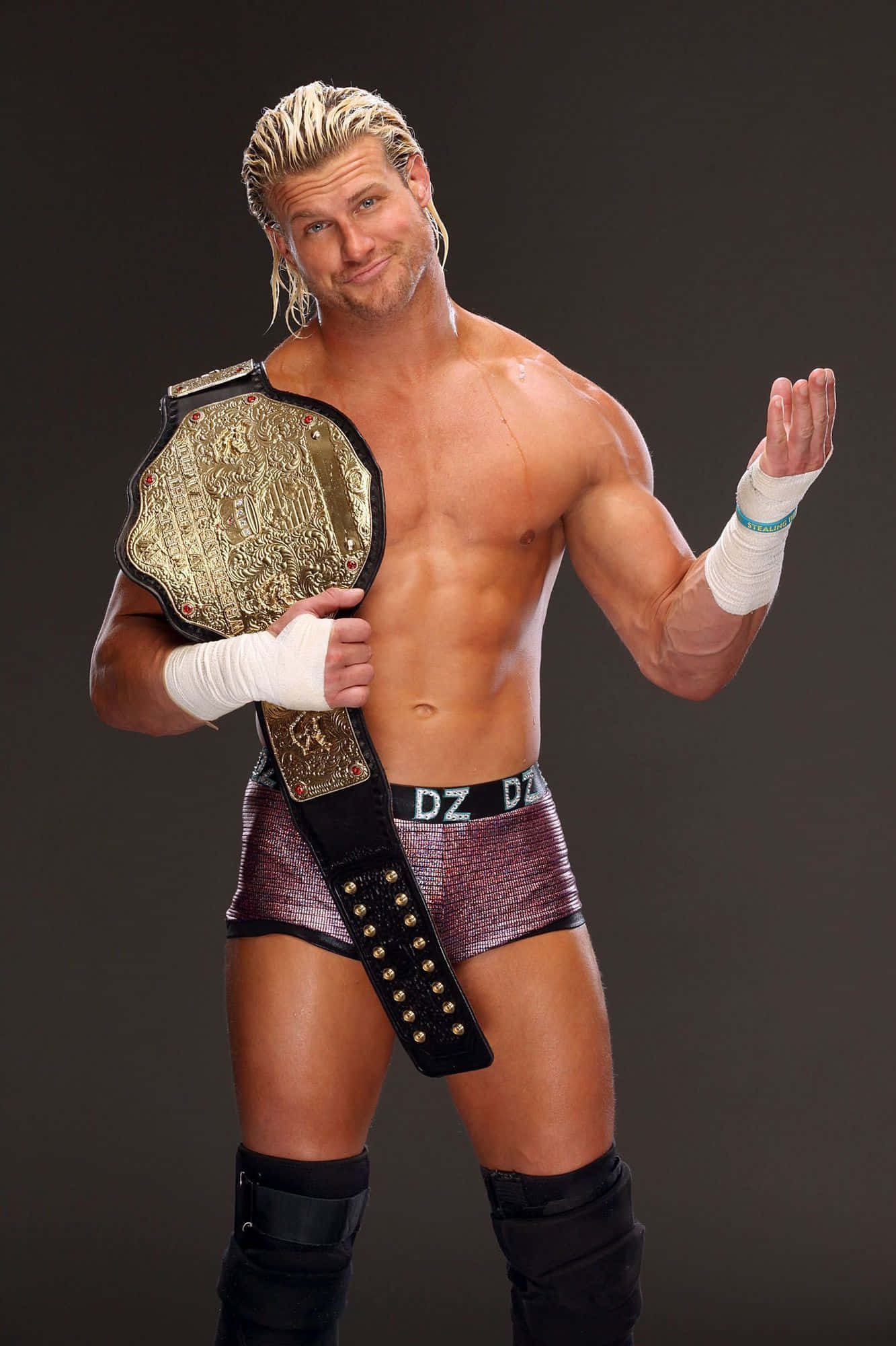 Dolph Ziggler Campion WWE Fundal