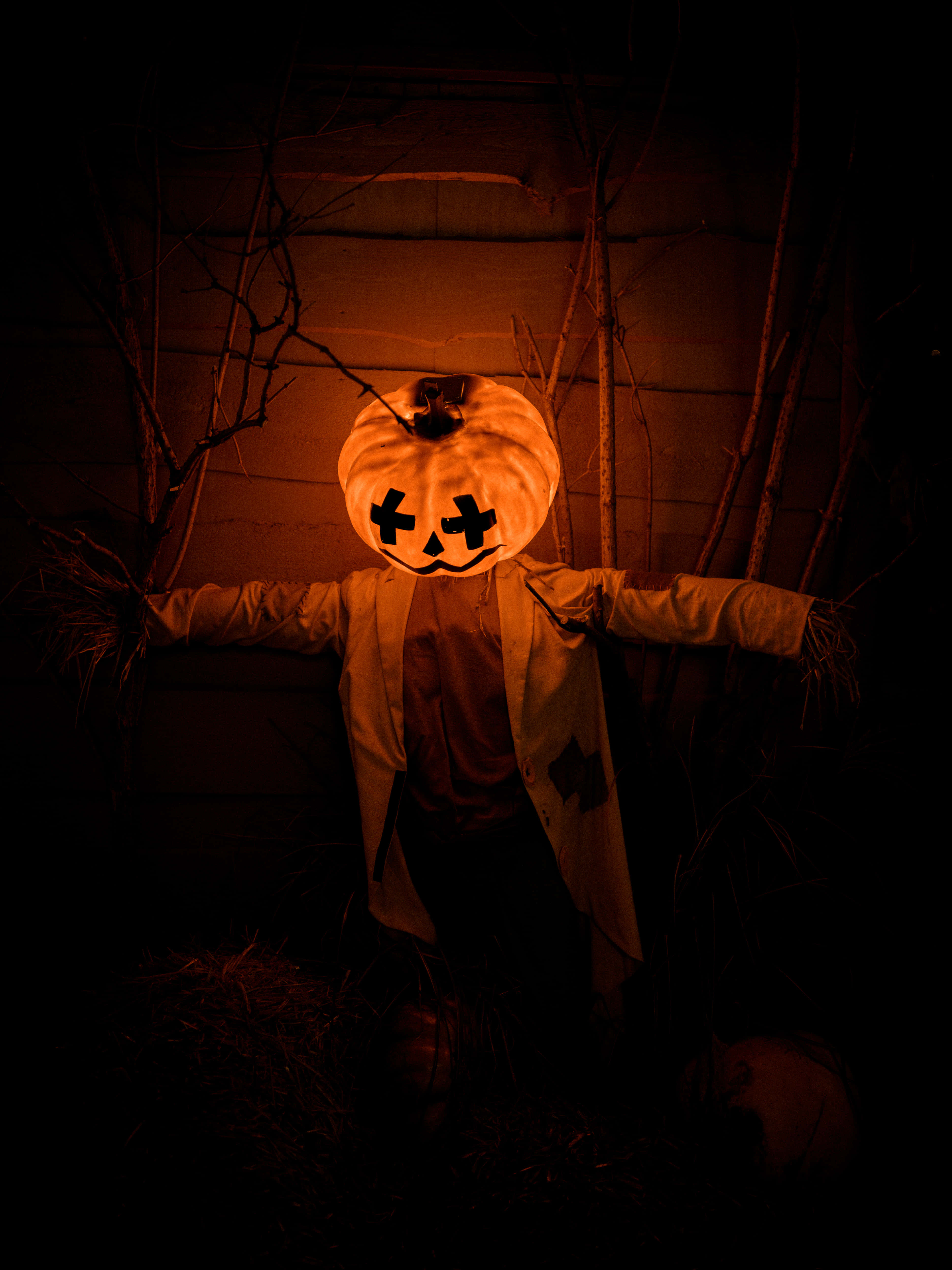 Dovleac Fermecat de Halloween într-o Noapte de Toamnă Fundal