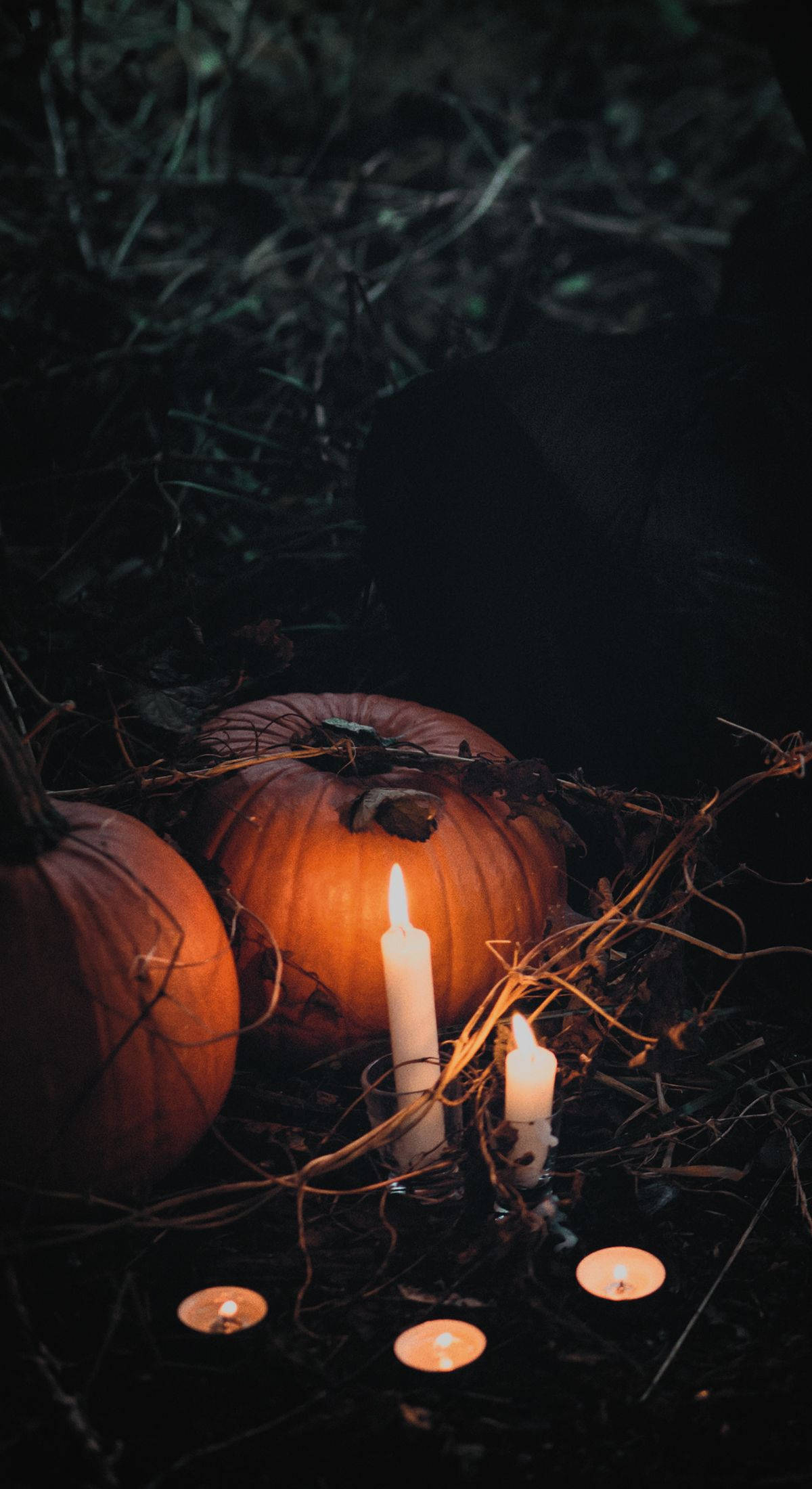 Dovleac și Lumânare Halloween iPhone Fundal