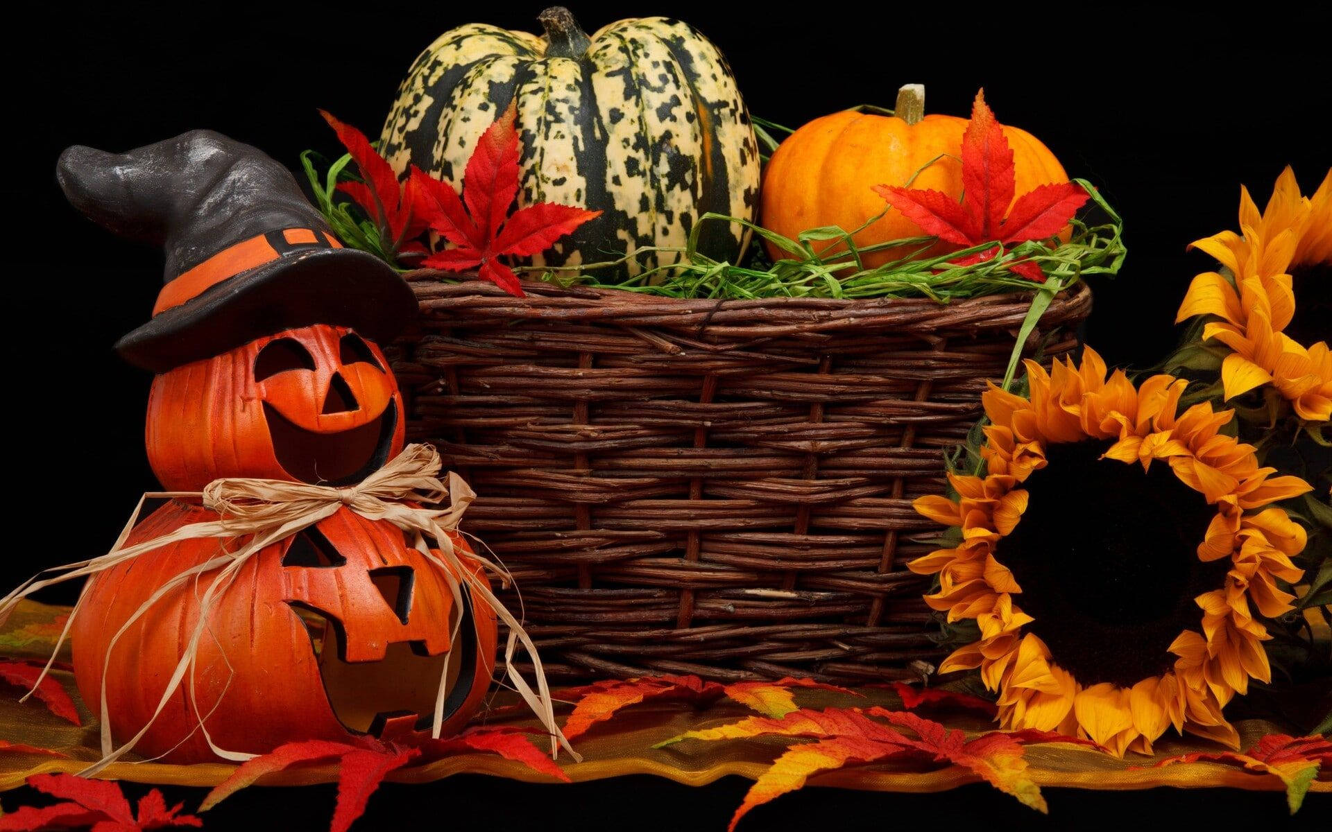 Dovleci Drăguți de Halloween cu Flori Fundal
