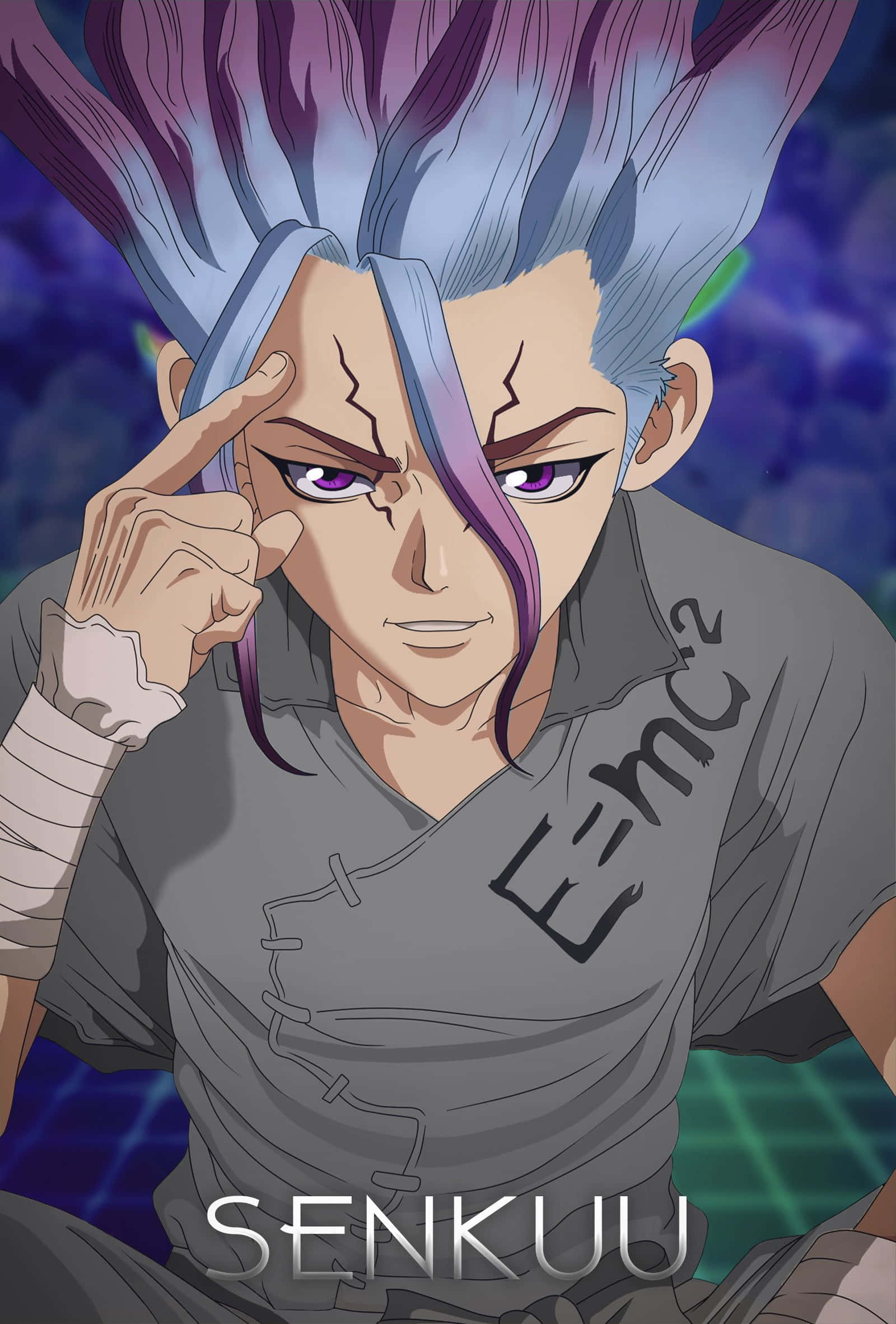 Dr. Stone Series Picture Fundal