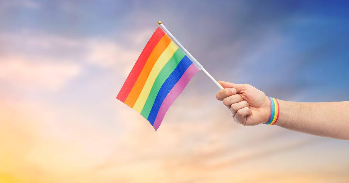 Dragostea este Dragoste Mini Steag Pride Fundal
