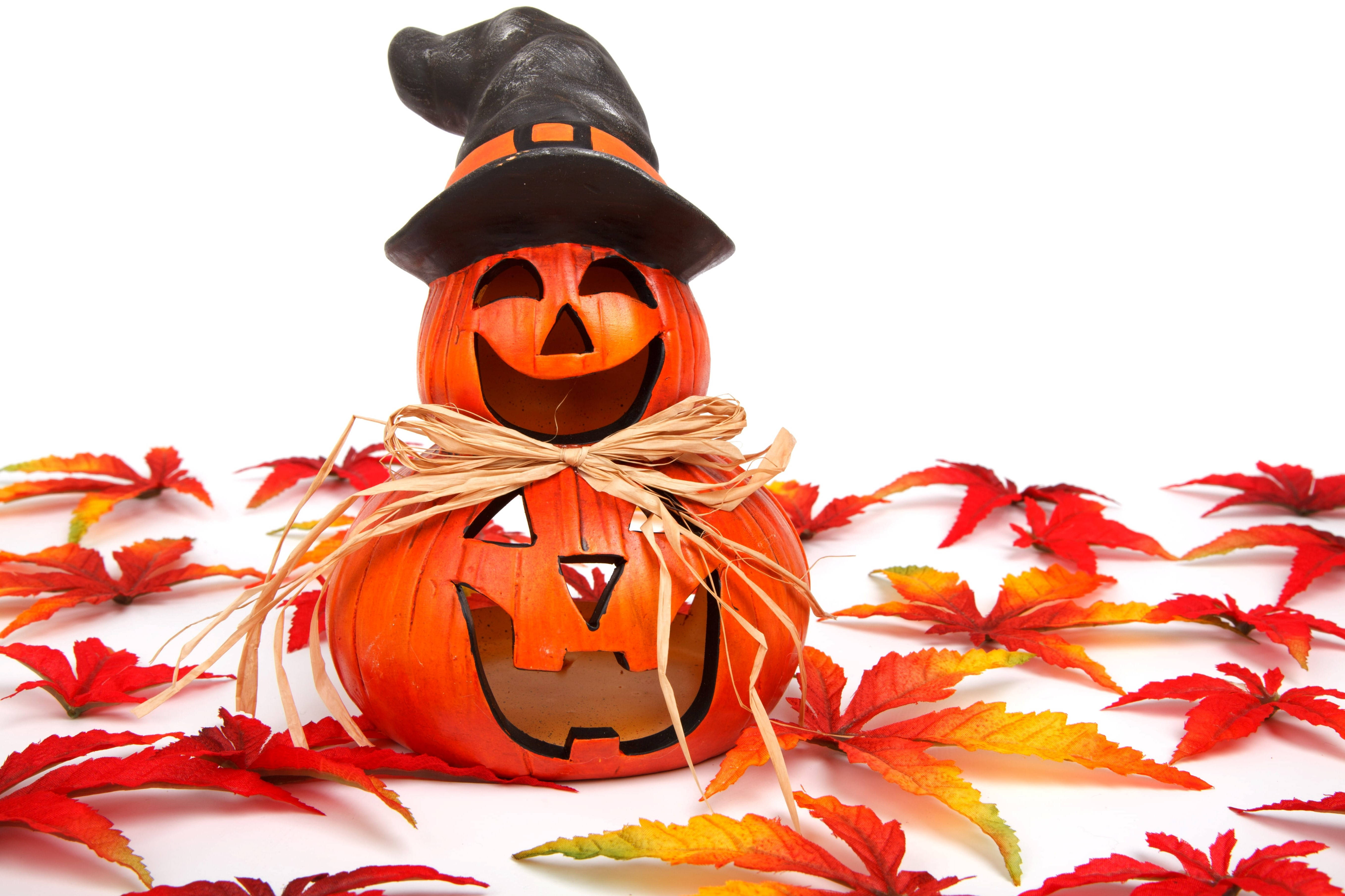 Drăguț Halloween Toamnă Jack O' Lantern Fundal