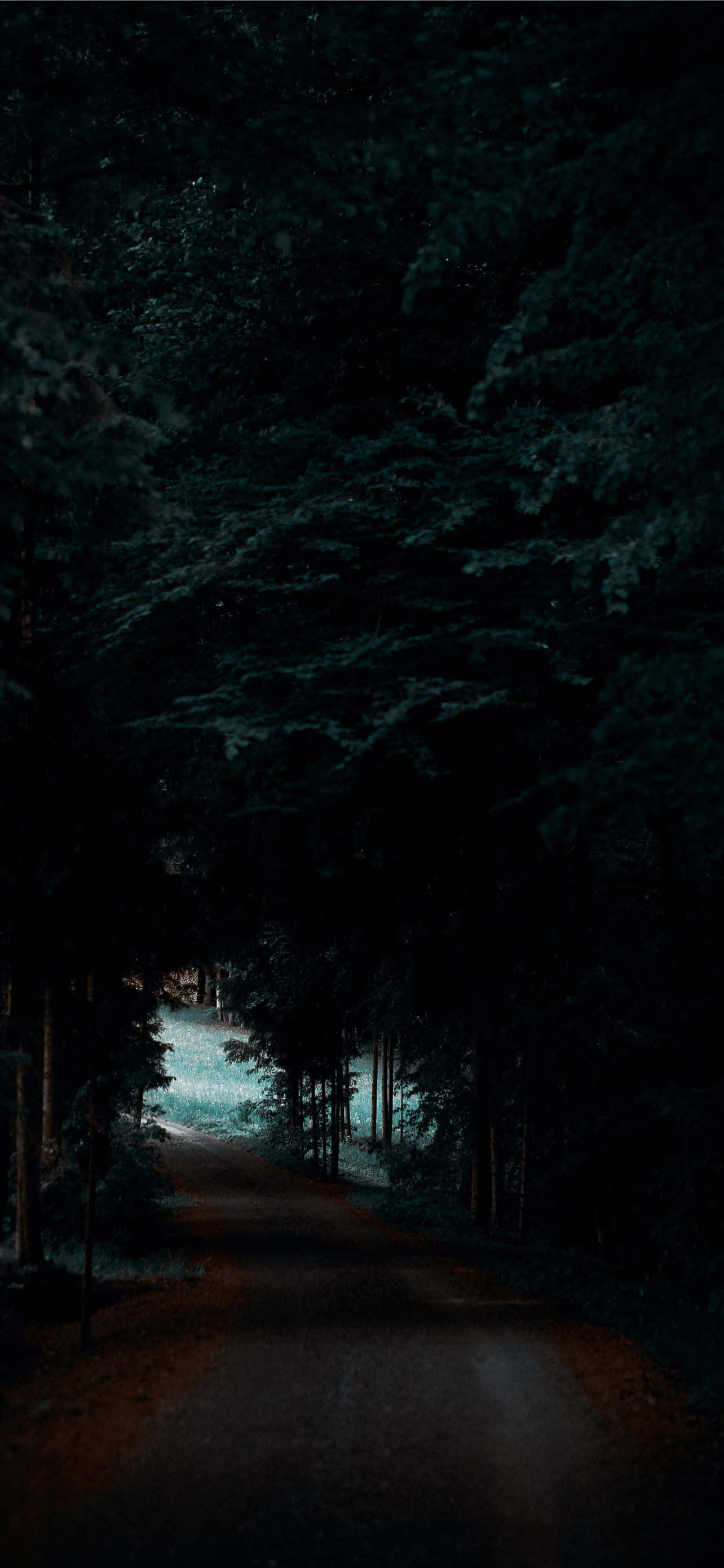 Drum în Pădure Întunecată Pixel 3 OLED Background Fundal