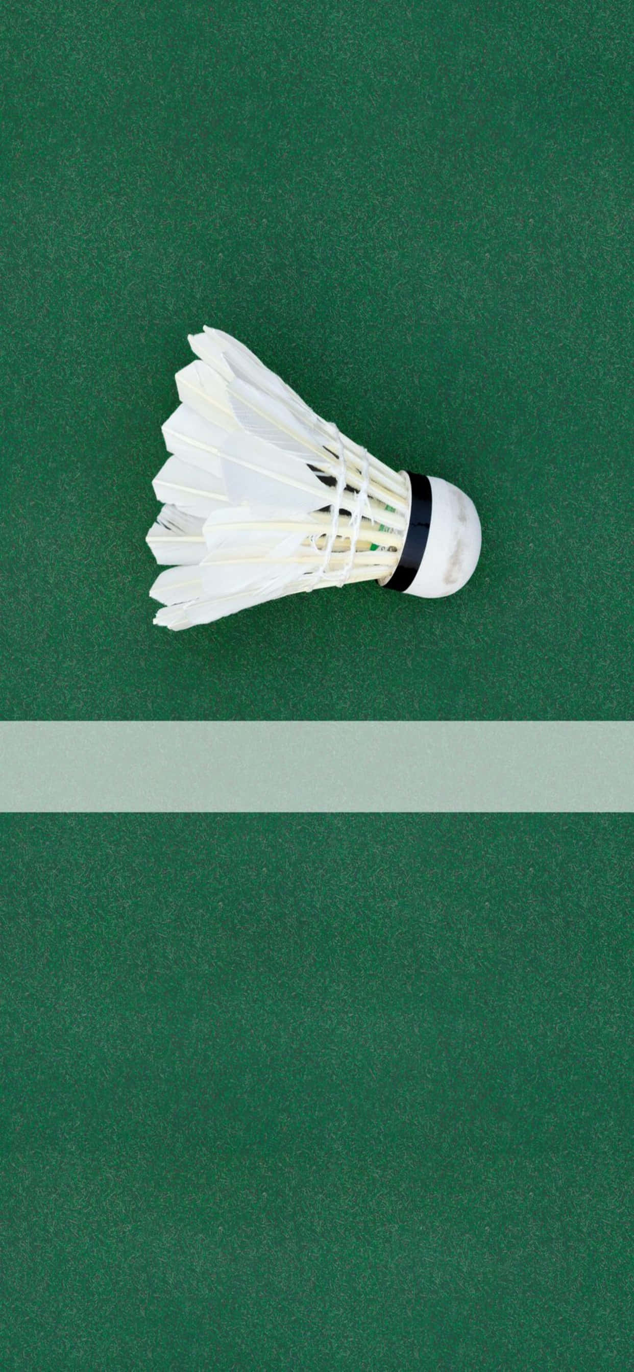 Du-ți jocul de badminton la nivelul următor cu iPhone Xs Max Fundal