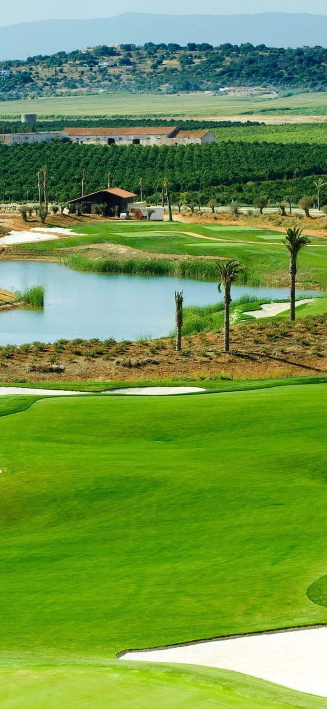 E timpul pentru tee! Bucură-te de jocul tău de golf pe fairway-urile luxuriante ale terenului de golf pe iPhone X Fundal