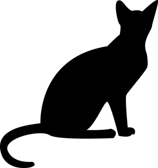 Ecran Negru Placeholder.JPG Fundal