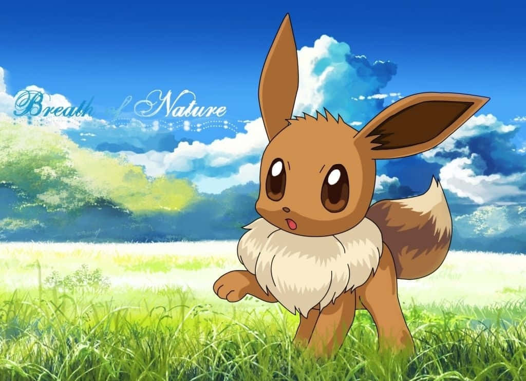 Eevee Drăguț pe Câmp de Iarbă Pokemon Fundal