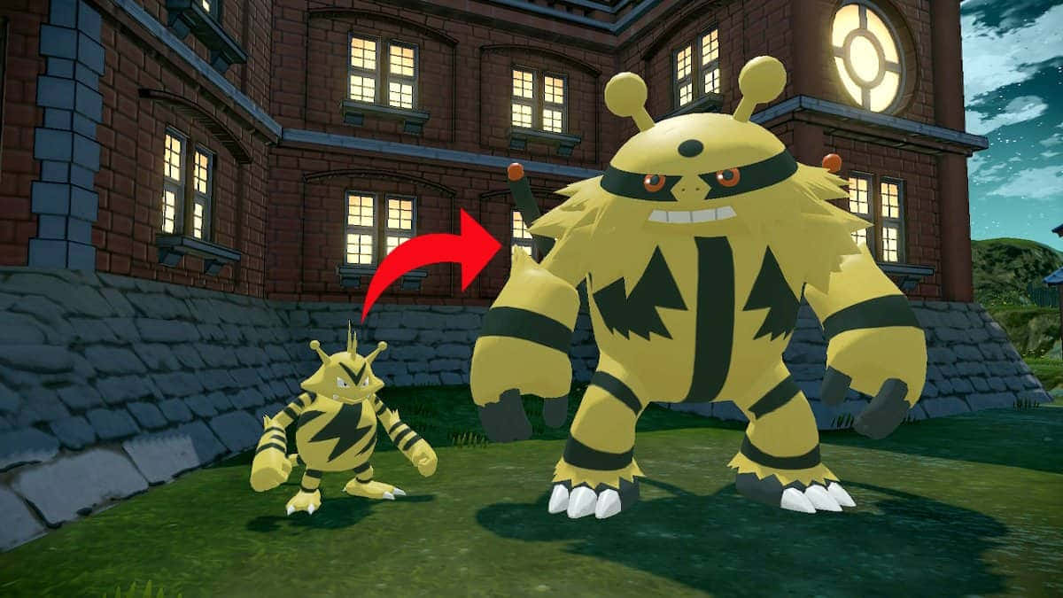 Electabuzz Încarcă Energie în Bătălia Pokemon Fundal