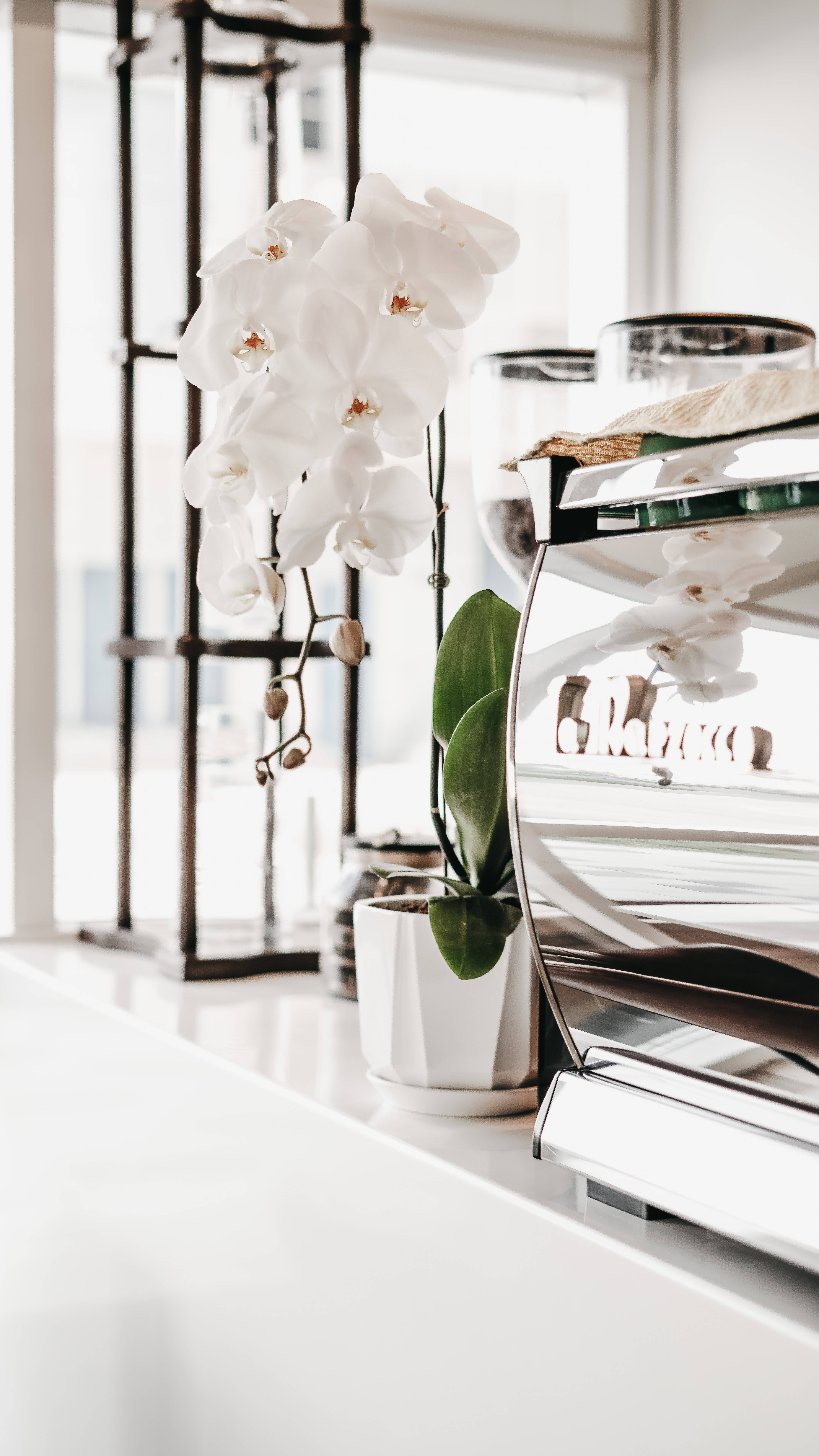 Eleganță subtilă: design minimalist bej cu motiv alb Fundal