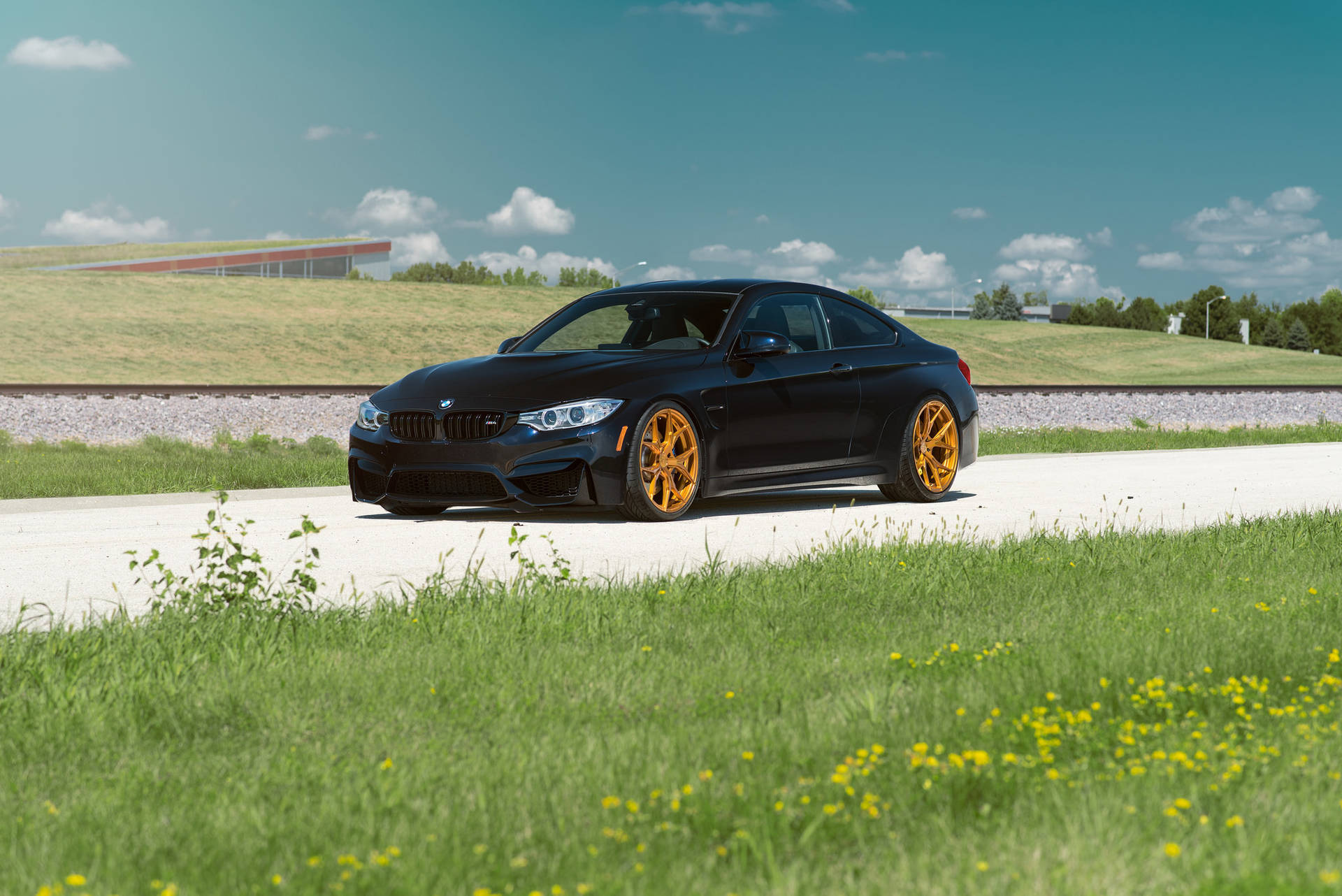 Tapet cu mașina BMW M4 F82 neagră pe un drum cu iarbă — Bmw Fundal