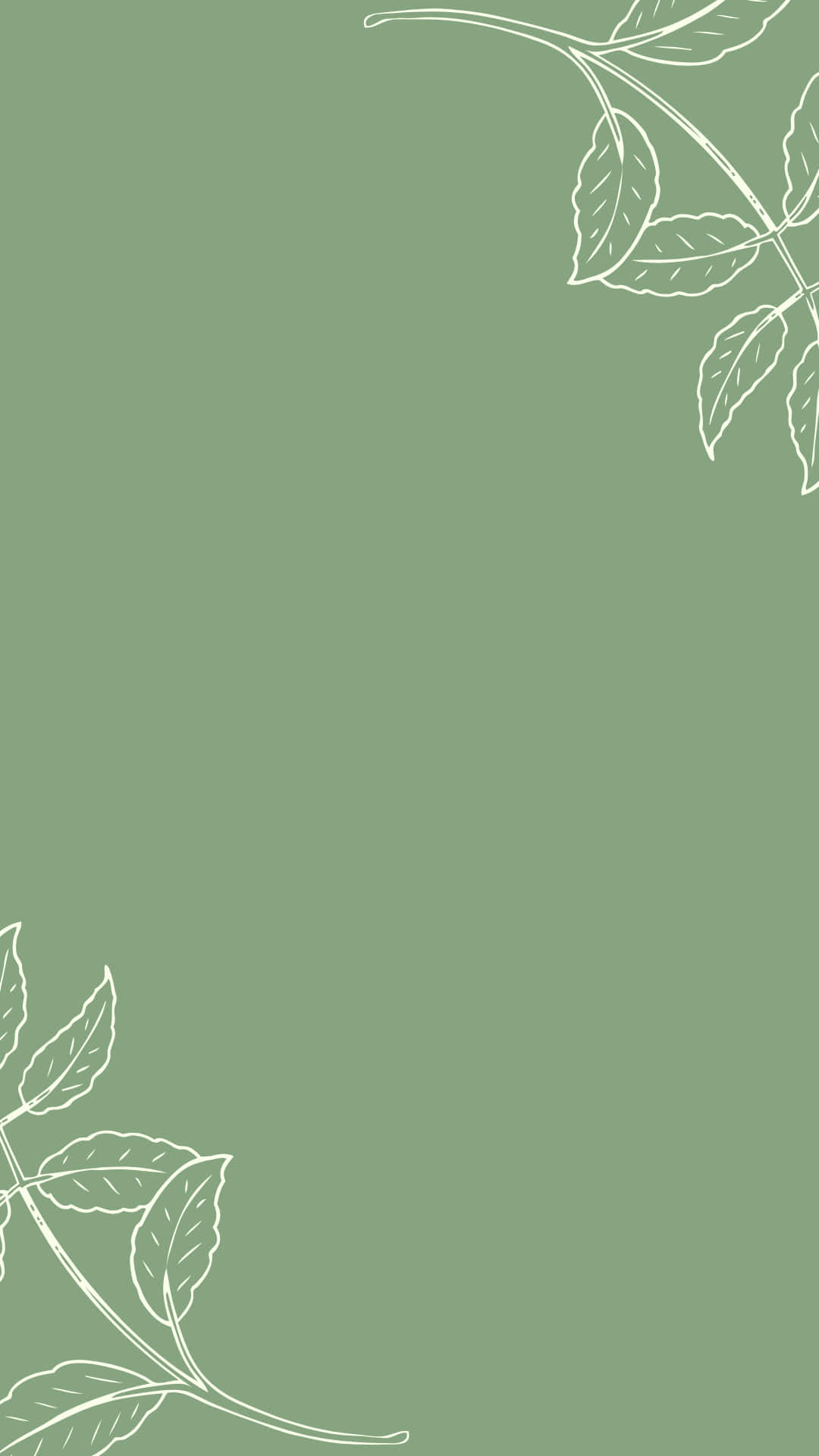 Estetic Instagram Minimalist Verde Salvie Fundal