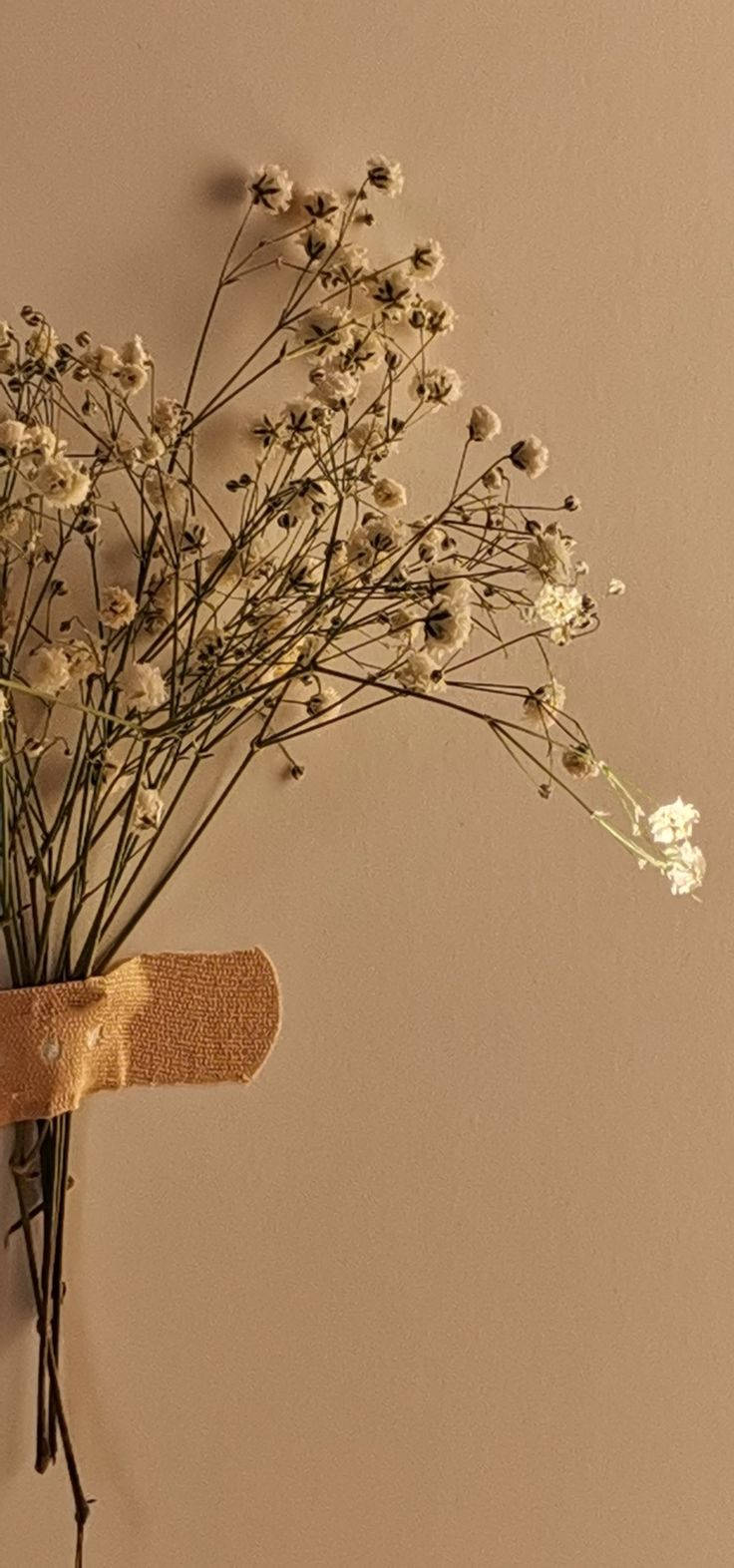 Estetică delicată cu floare bej Fundal