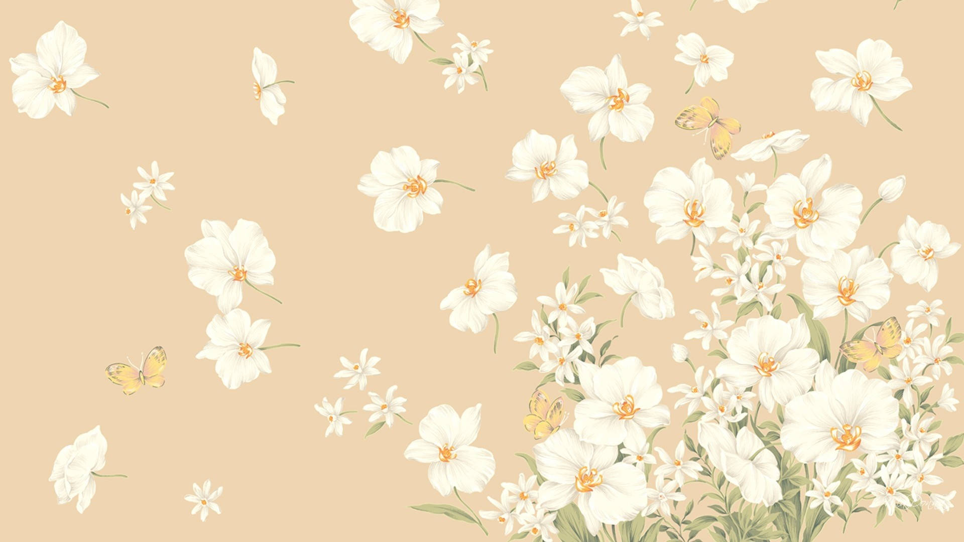 Estetică Florală Bej Laptop Fundal