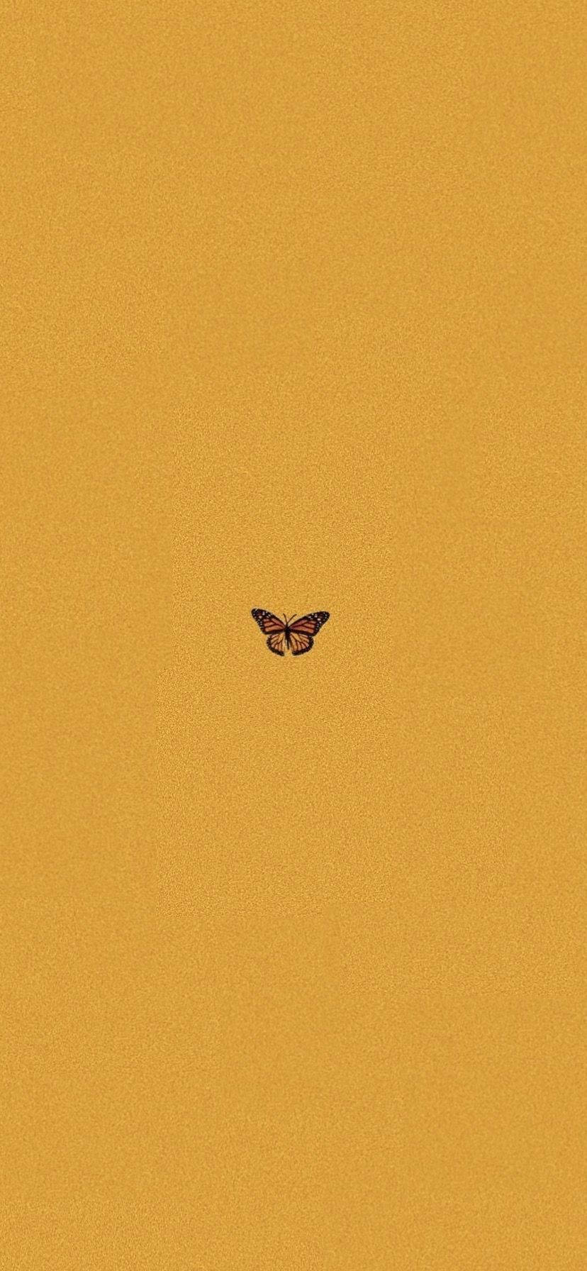 Estetică Fluture Galben Muștar Fundal