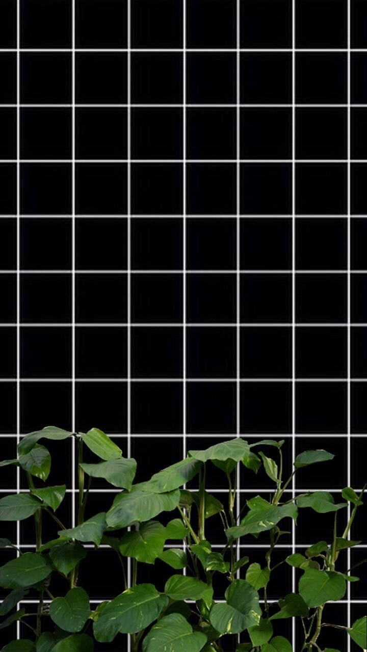 Estetică Grid Alb-Negru cu Plante Fundal