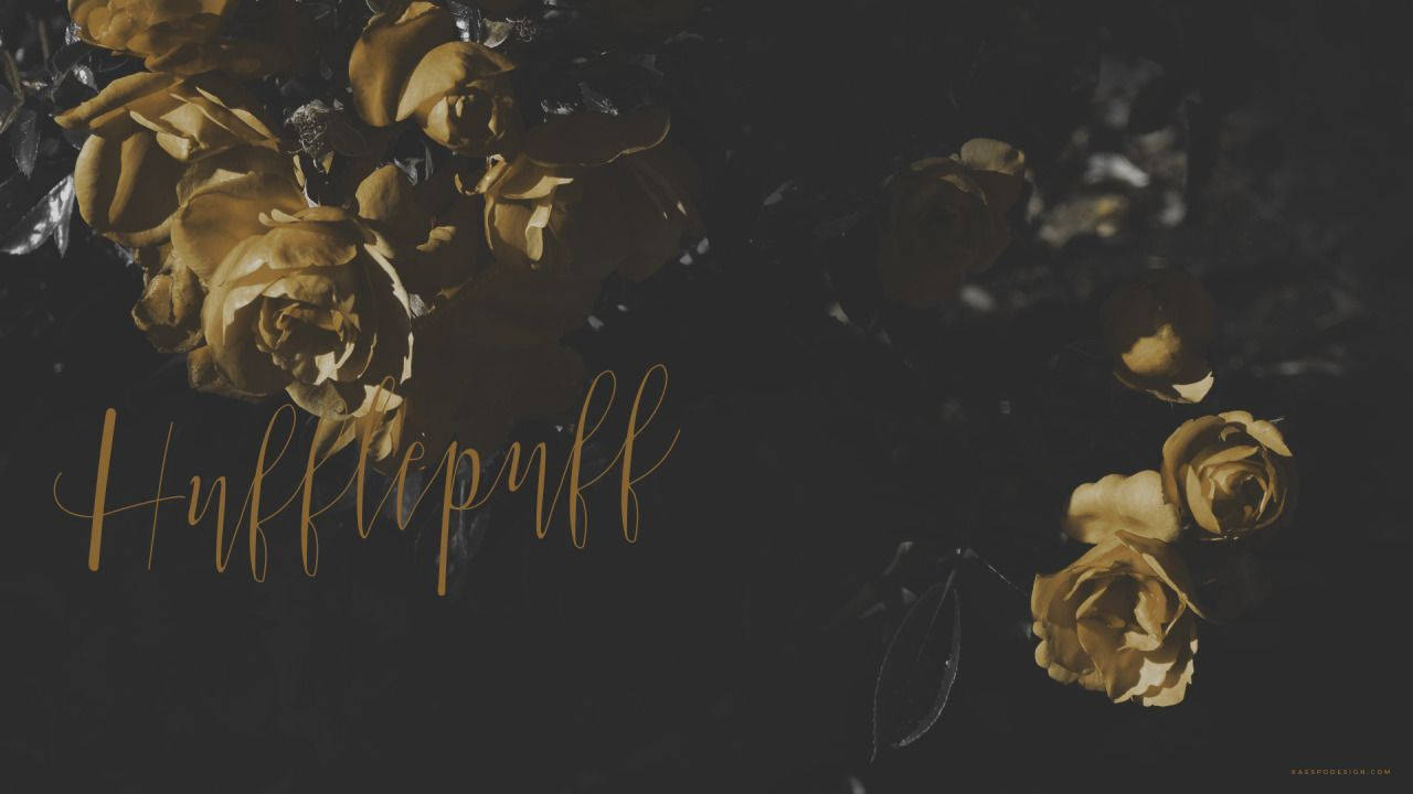 Estetică Harry Potter Hufflepuff Fundal