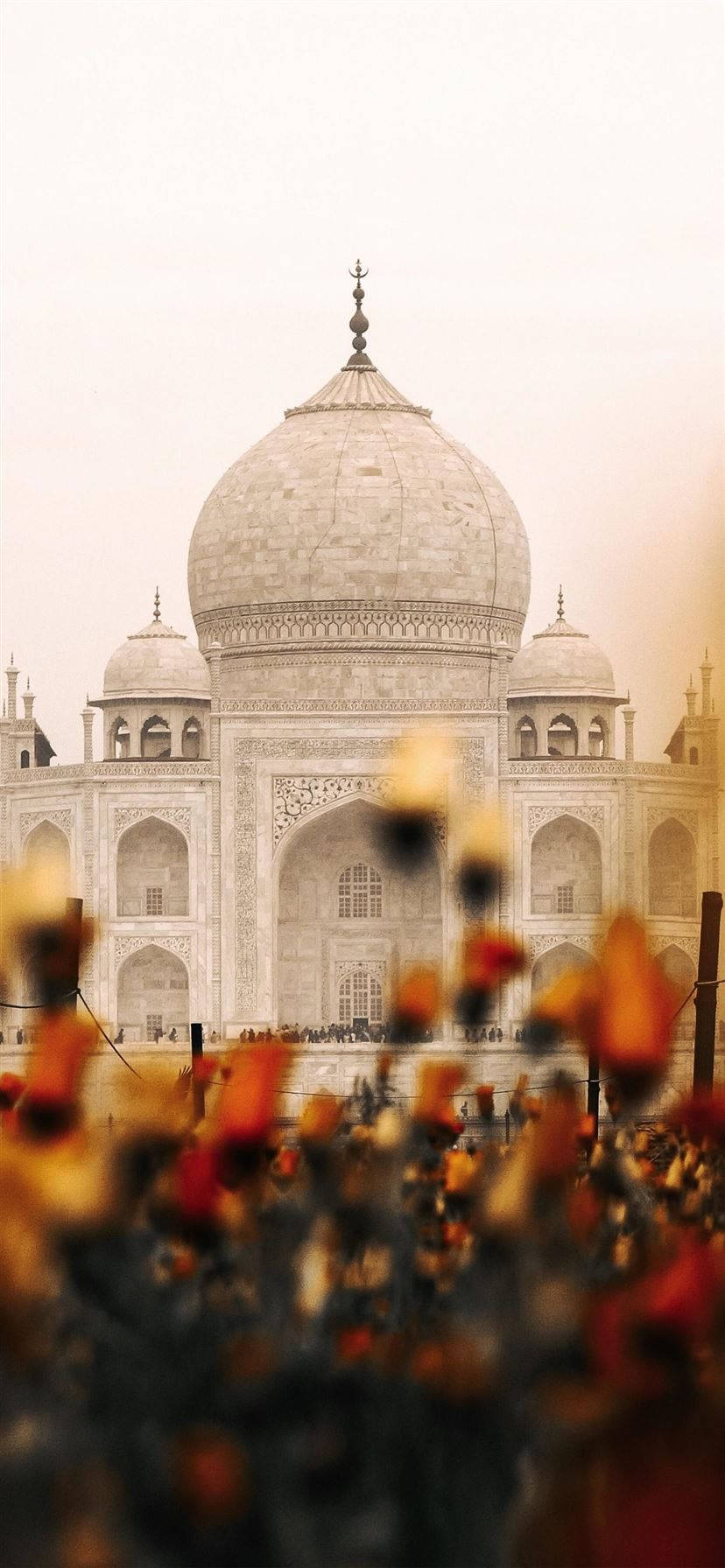 Estetică Indiană Taj Mahal Flori Fundal