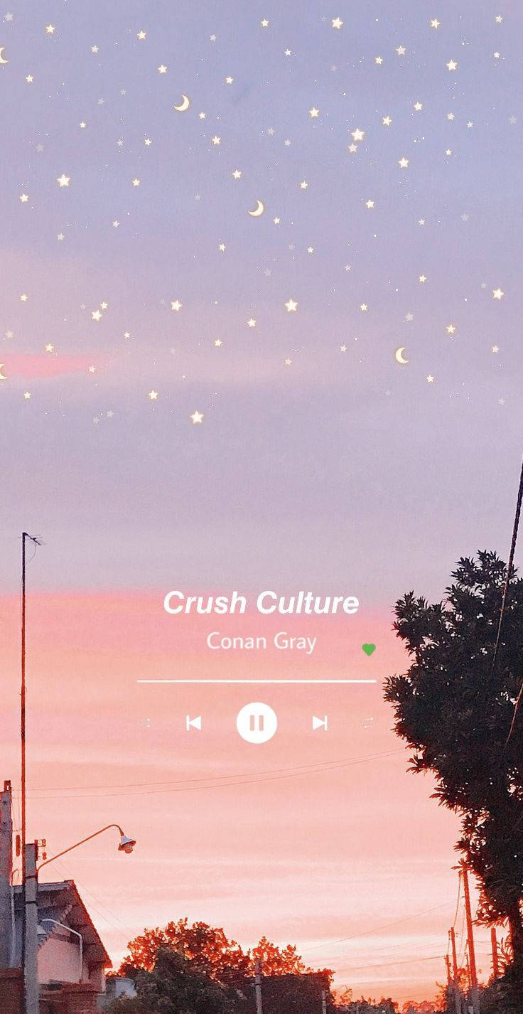 Estetică muzicală Conan Gray Fundal