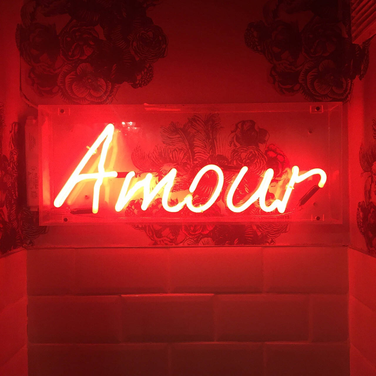 Estetică roșie neon Amour Fundal
