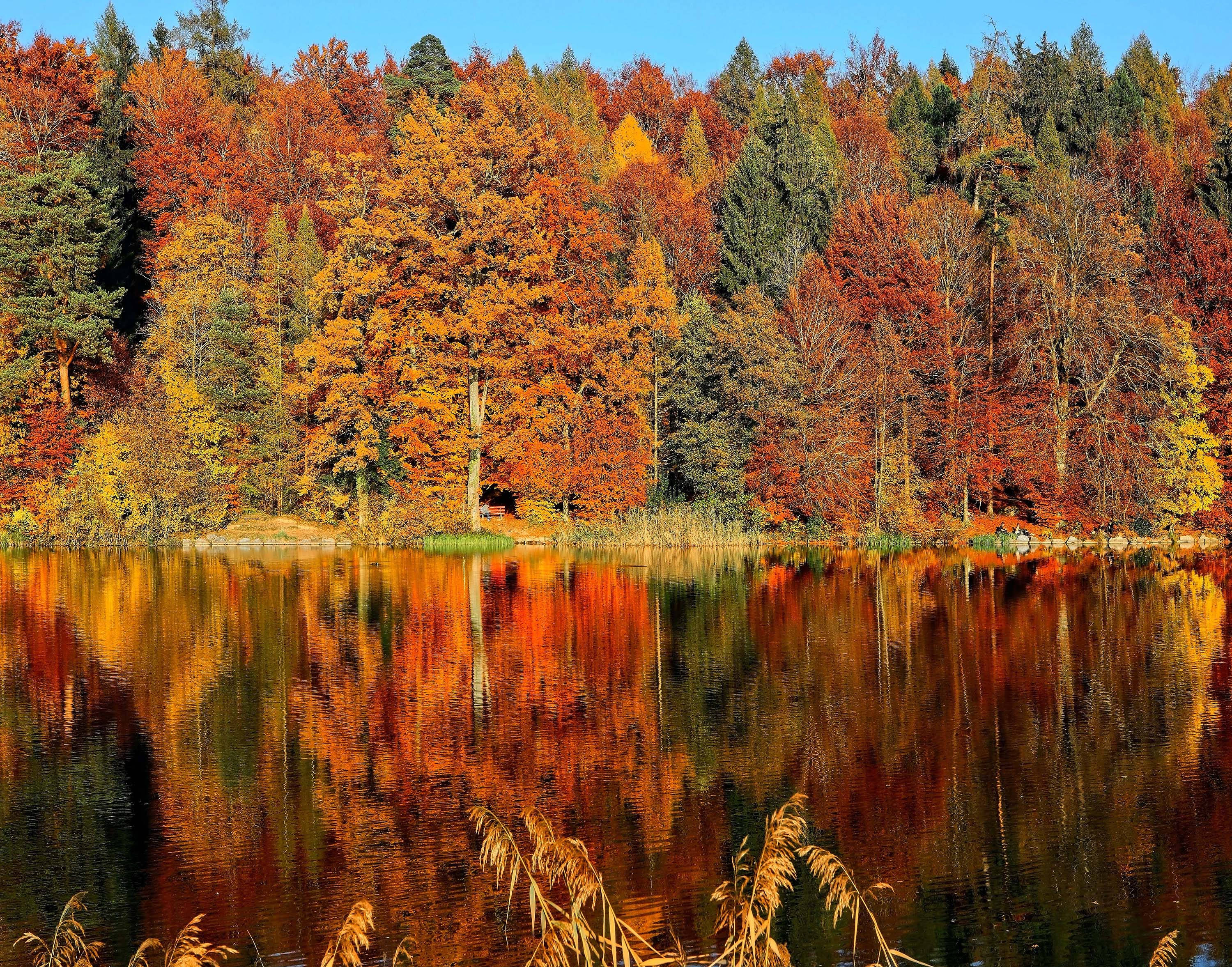 Estetica Toamnă Lacul Horgenberg Fundal