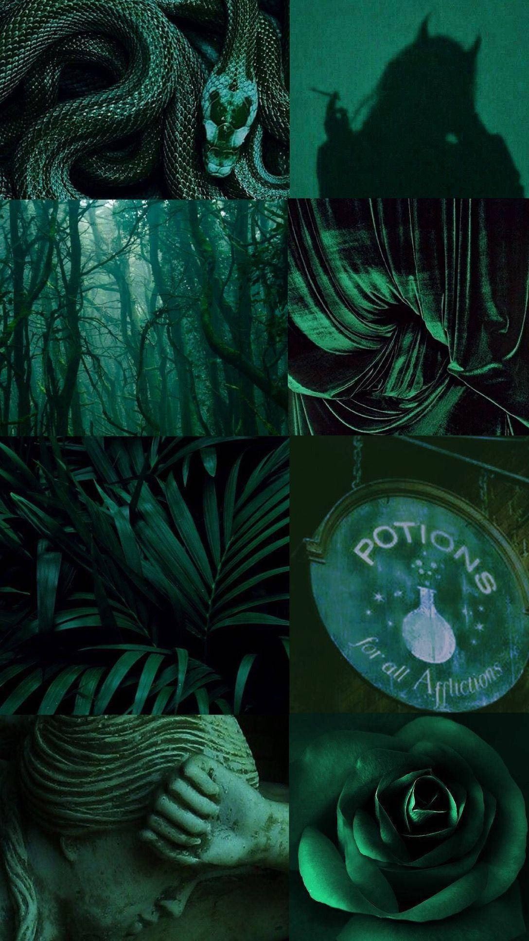 Estetică Tumblr Verde Închis Fundal