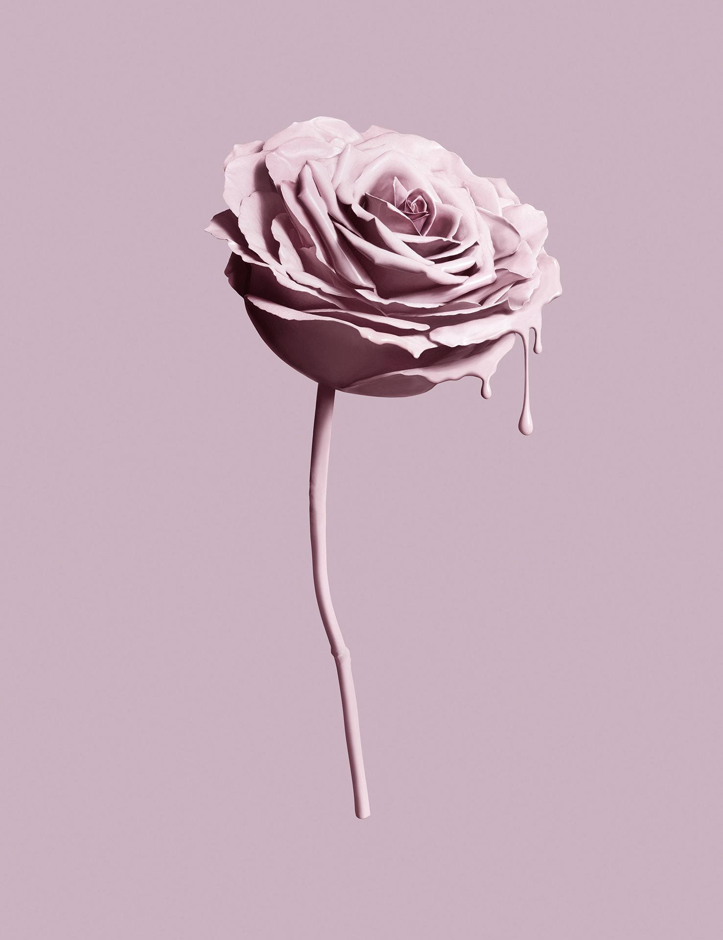 Estetică Tumblr Trandafir Roz Fundal